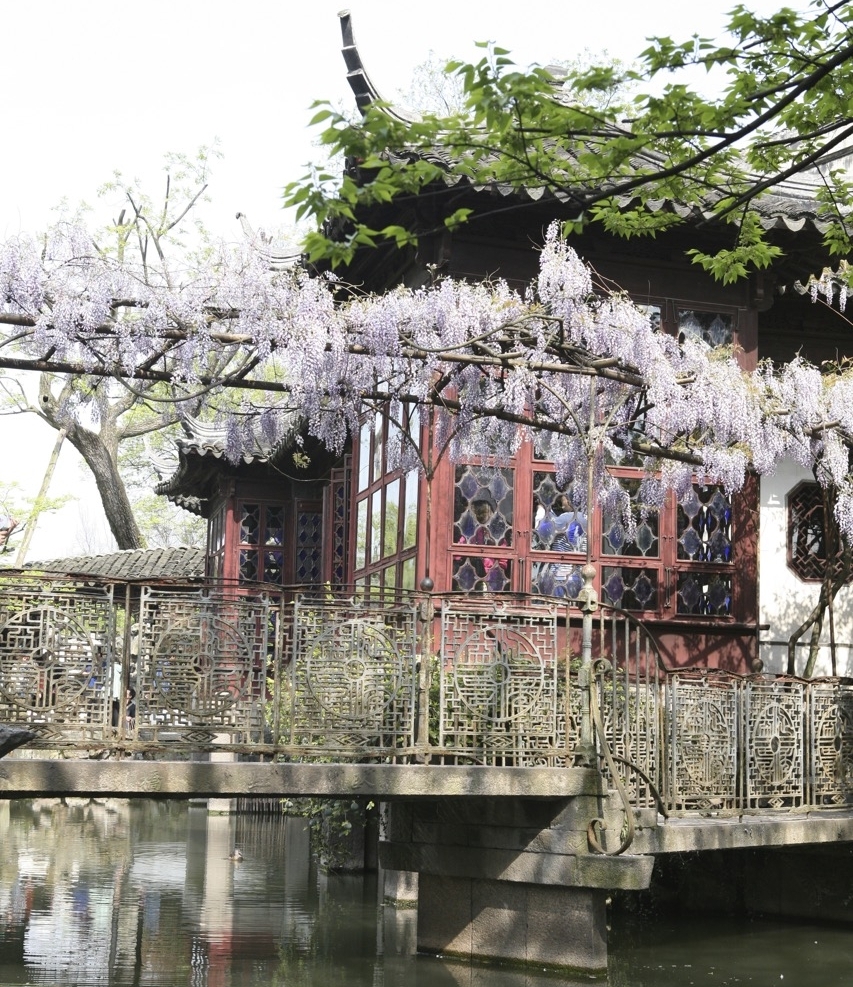 thegoodgarden|Suzhou|humbleadministratorsgarden|5075.jpg