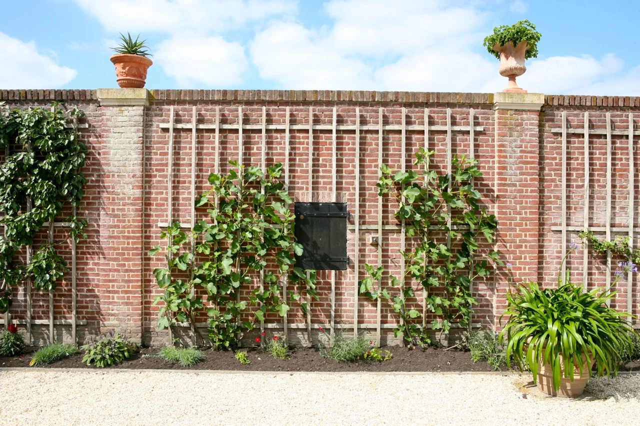 thegoodgarden|hetloopalace|summer|9709.jpg