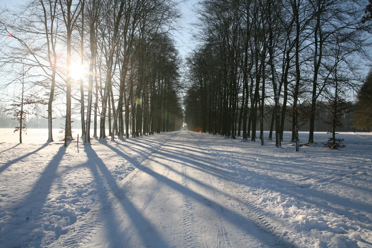 One of the radiating paths leading to the Palace as seen after a delightful winter storm. See more winter photos here.