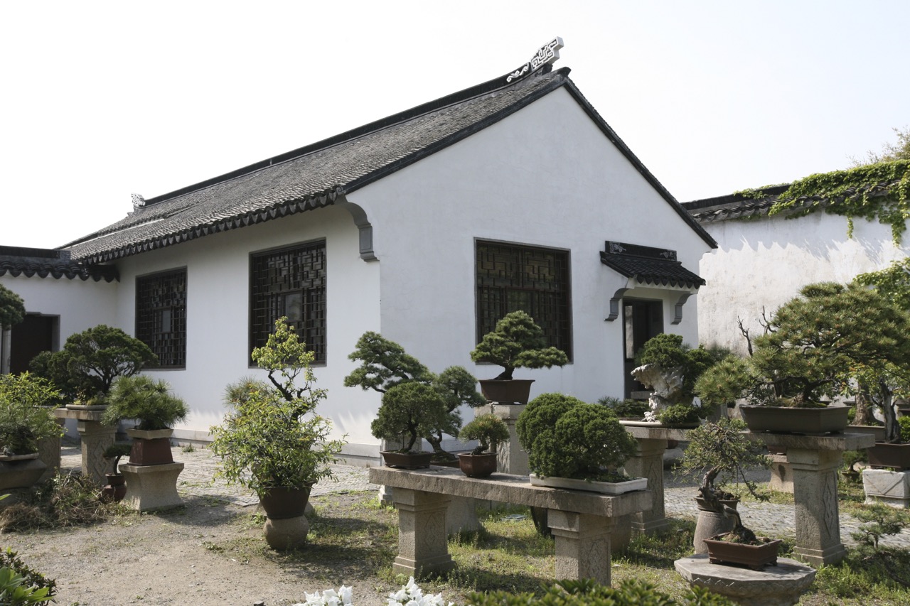 Fox Valley Bonsai Society member trees continue an ancient tradition that started in China. Here we see tray landscapes in The Humble Administrator’s Garden in Suzhou, China. This garden dates back to 1509.