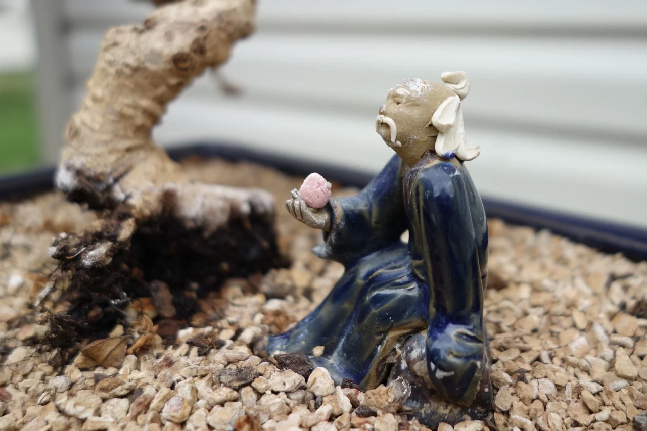 The Chinese antecedent to bonsai, called penjing, incorporates figures and structures. Here a man holds a pomegranate - a symbol of fertility. Note how the figure reinforces the scale of the trunk in the background.
