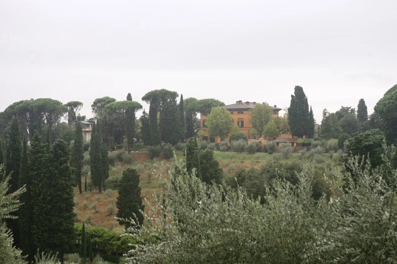 The property sits on top of a hill. The surrounding views are spectacular.