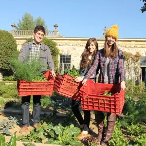 This NYU program at La Pietra "aims to celebrate the joy of eating fruit and vegetables at their very best while considering the wider impact eating local seasonal produce has on the environment." Source: NYU