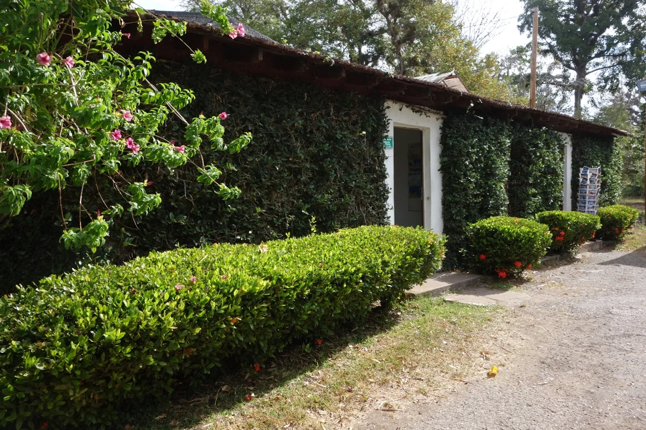 The current visitor's center, offices, and garden staff quarters. The palm allee is located behind this cluster of buildings. It is not on the official tour.