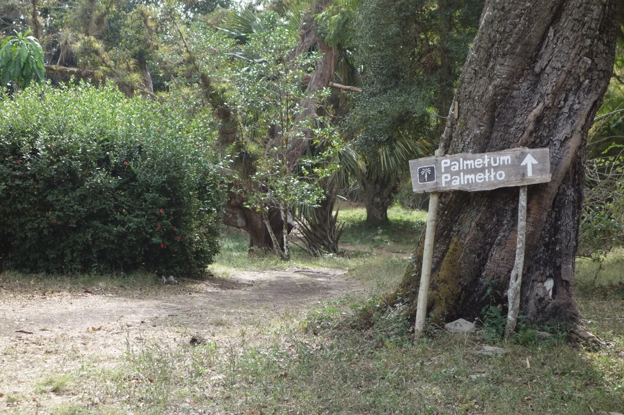 A hand-painted sign leads to the palm garden.