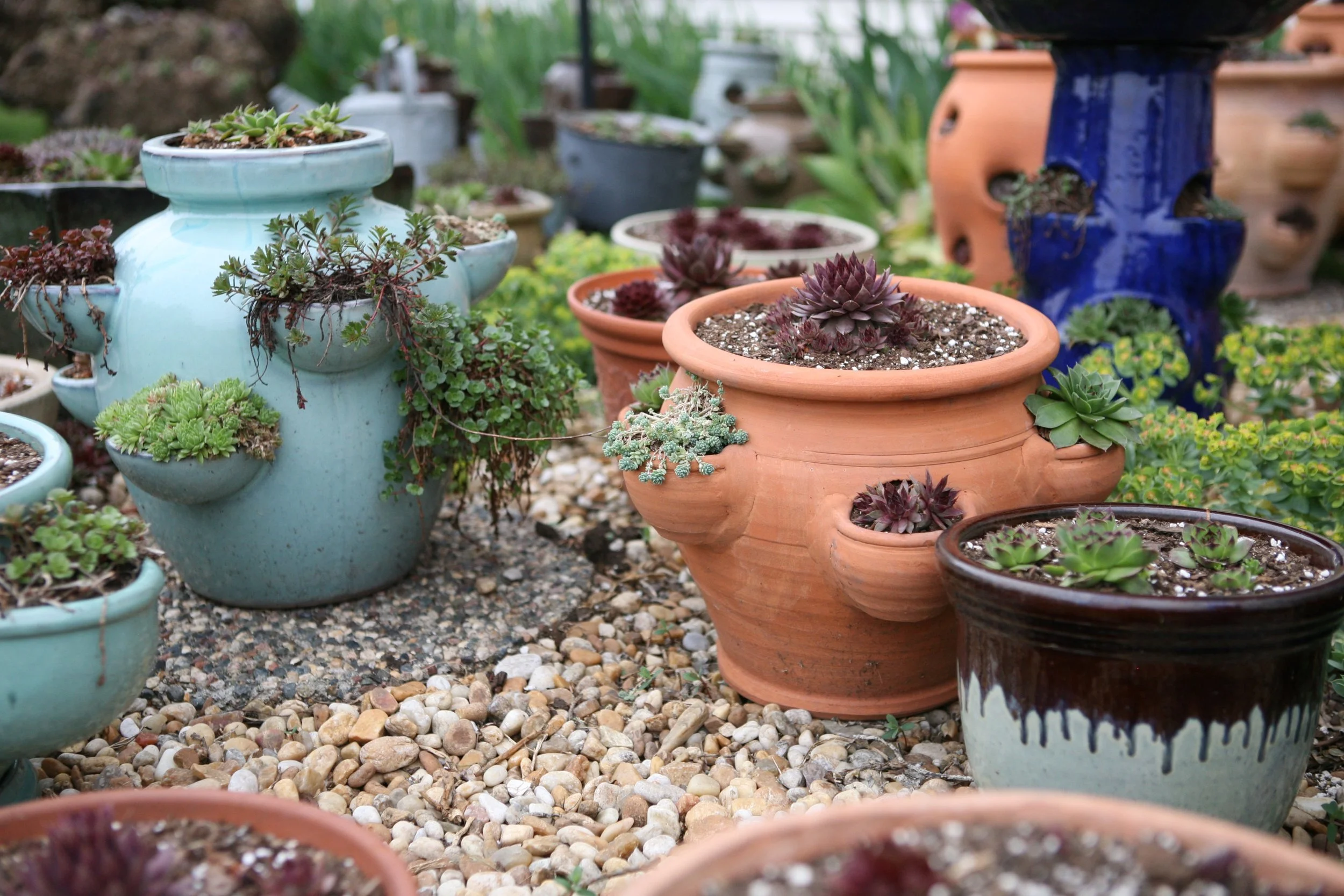 "Neenah garden 'too pretty not to share'," The Post-Crescent, USA Today Network.