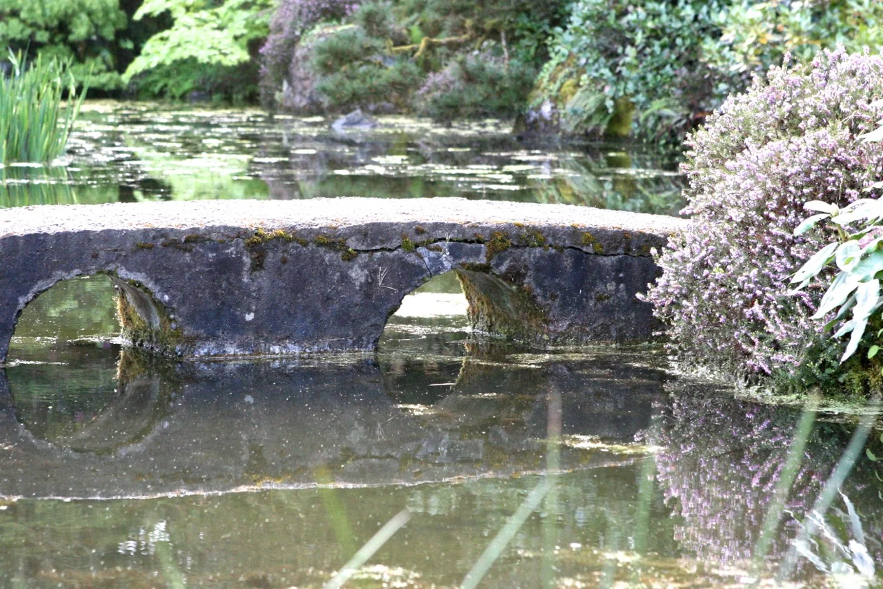 thegoodgarden|davidcalle|kubotagarden|2441.jpg