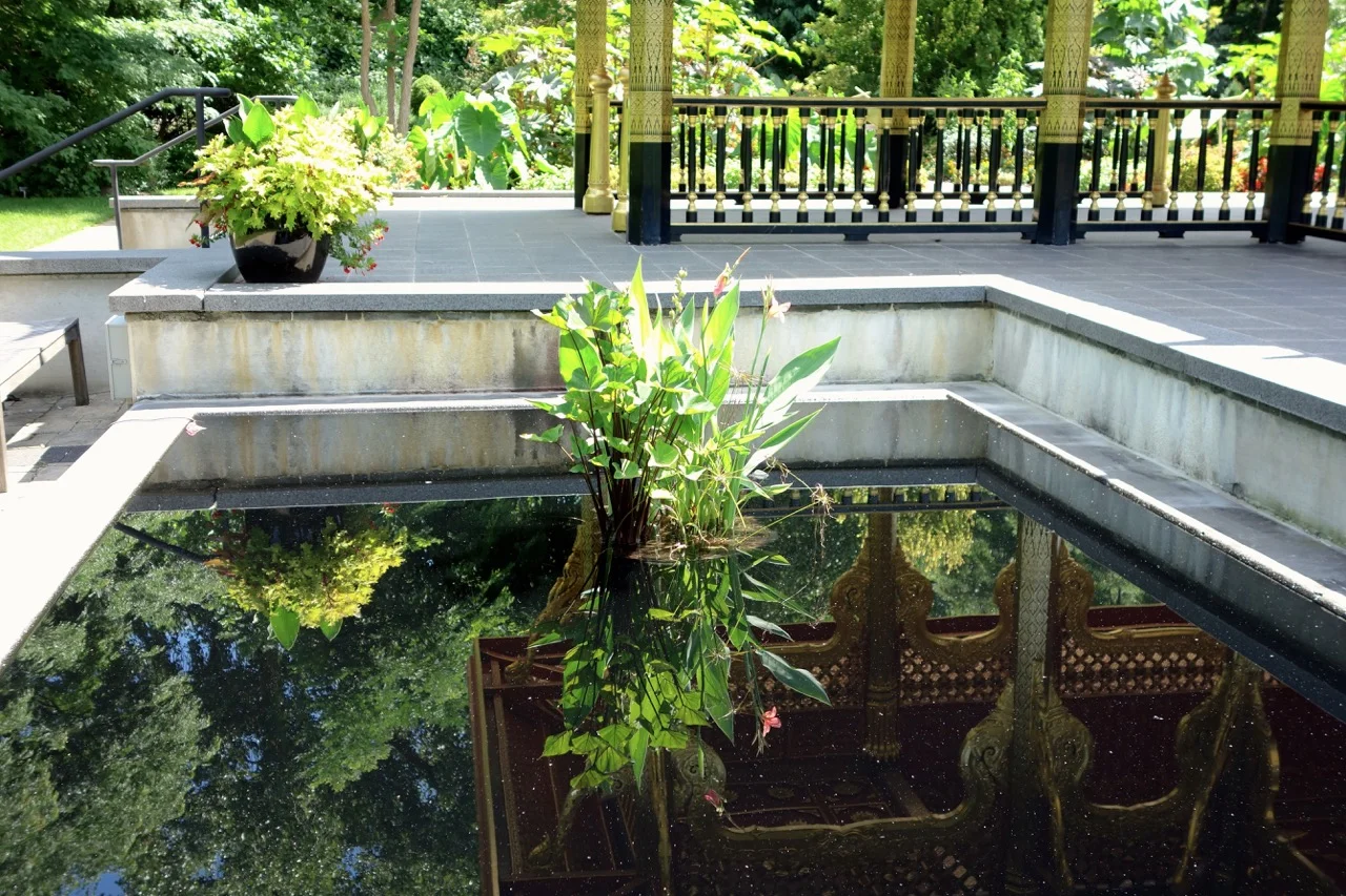 thegoodgarden|davidcalle|OlbrichGarden04717.jpg