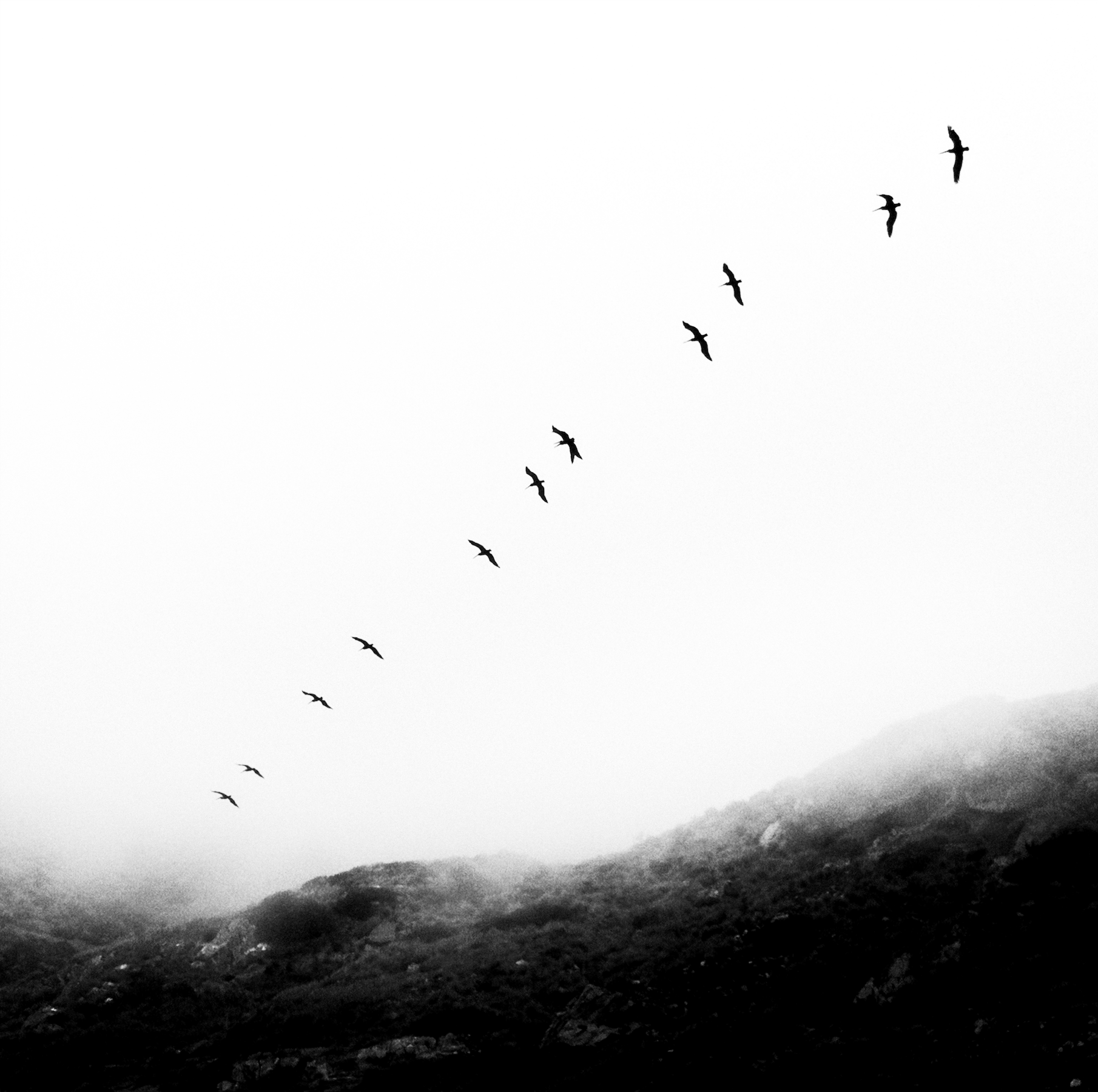 Screenshot 2024-04-13 at 9.24.49 AM.png