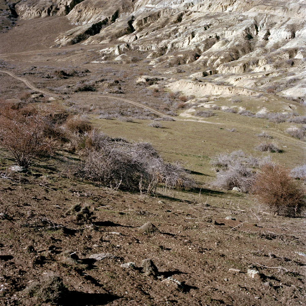 bannockburn77777777web.jpg