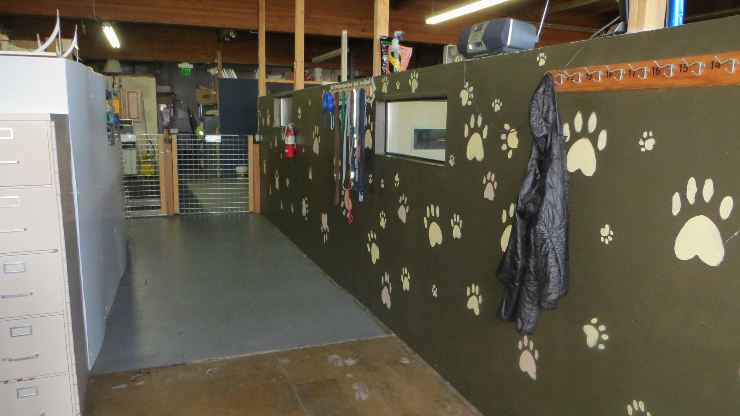 Paws & Relax Doggie Daycare — Burien C.A.R.E.S.