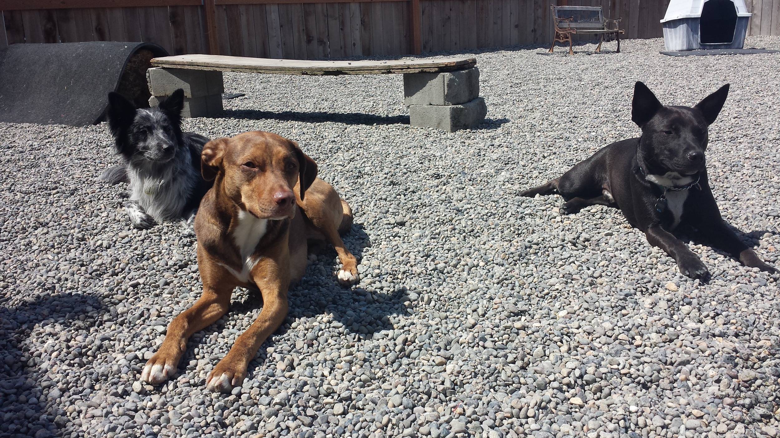 20140507_135059.jpg