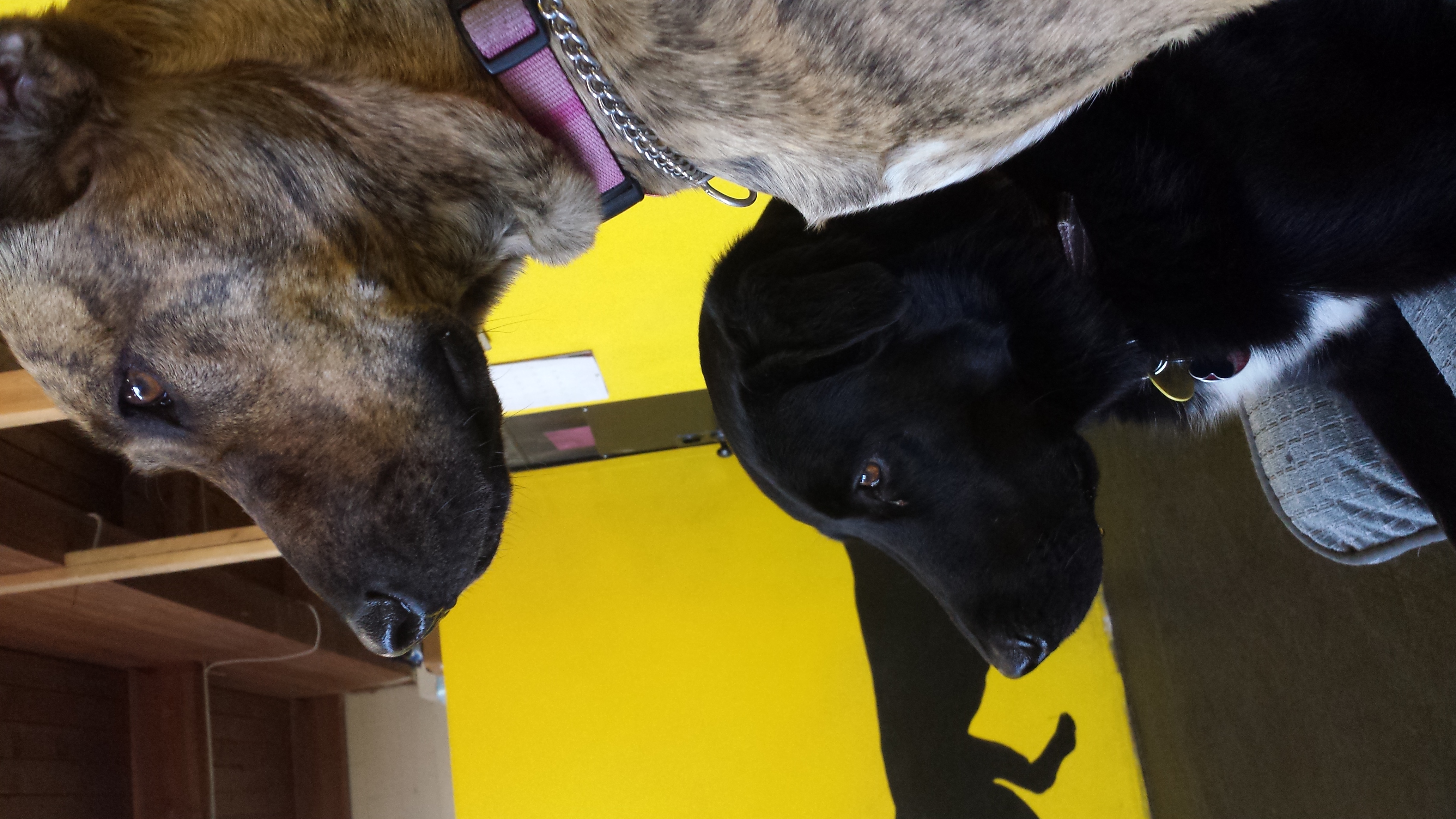 20140513_102001.jpg