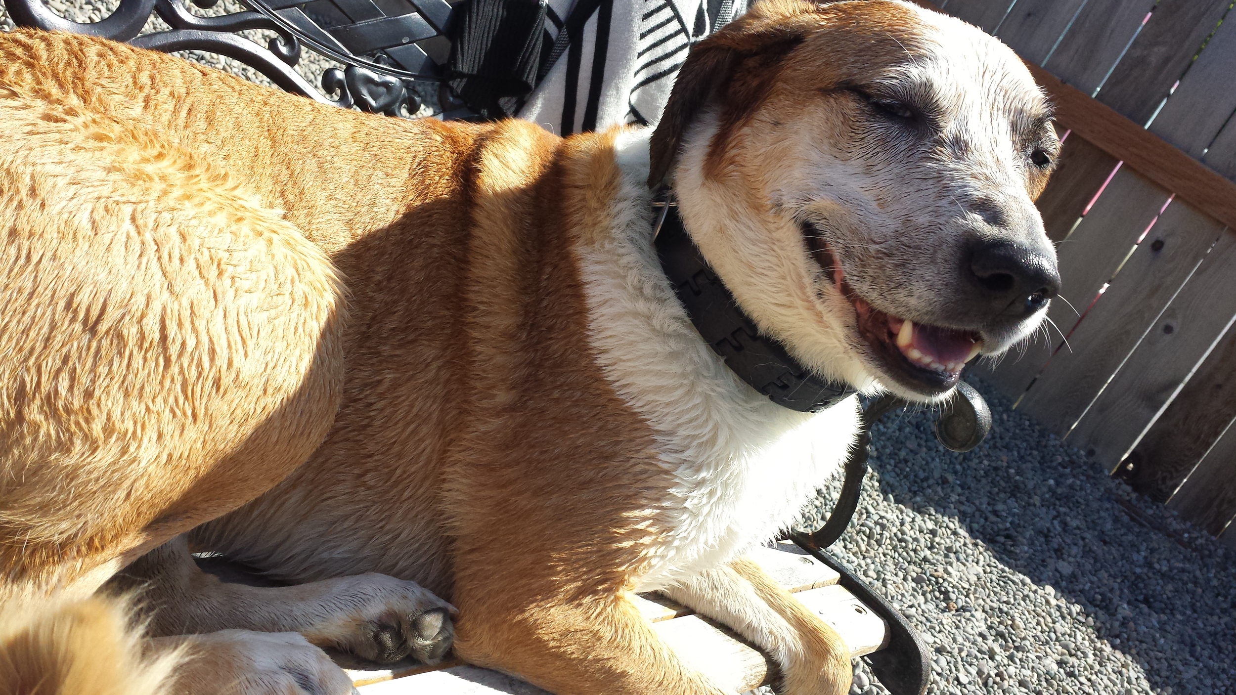 20140513_112435.jpg
