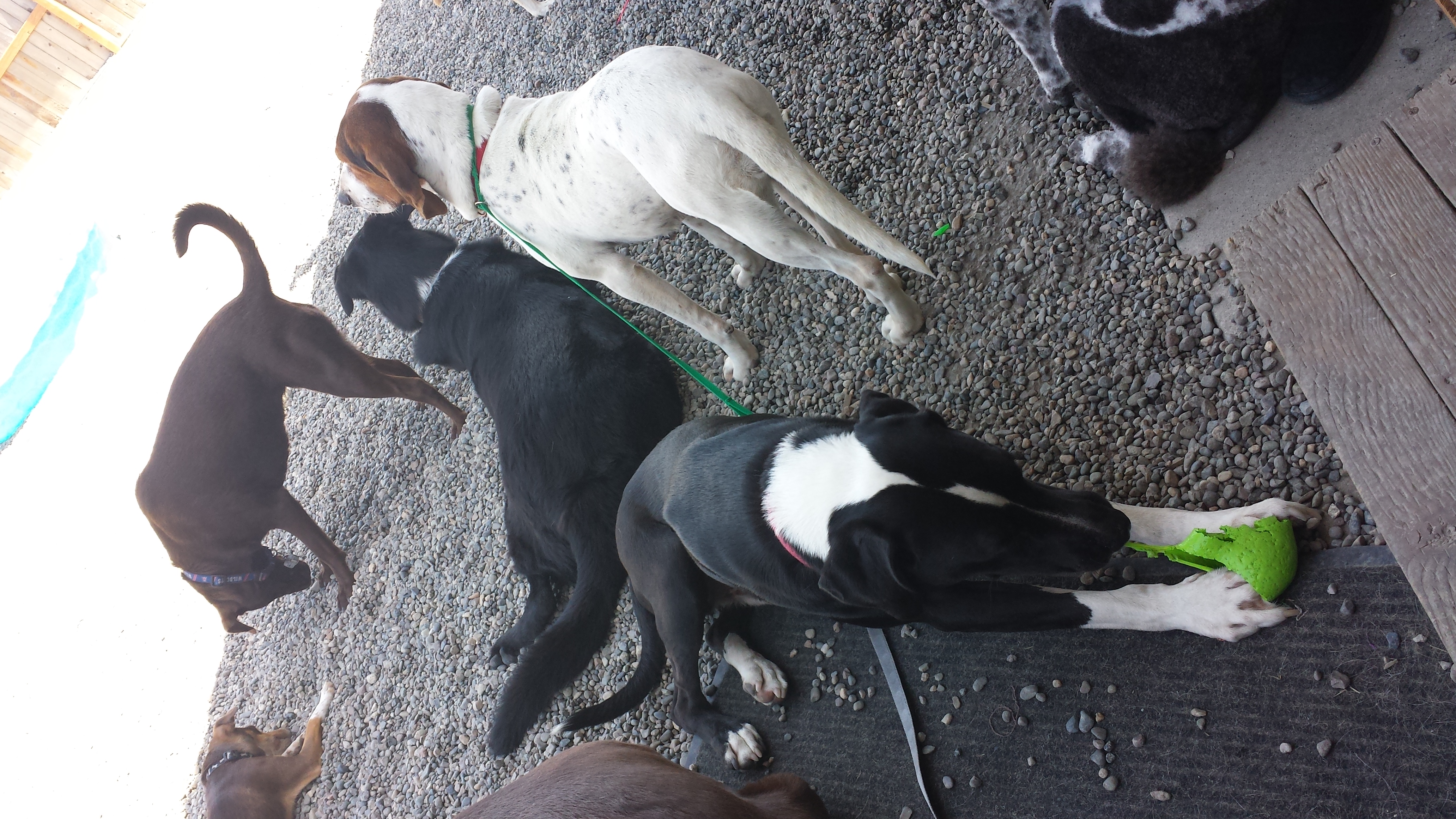 20140514_132836.jpg