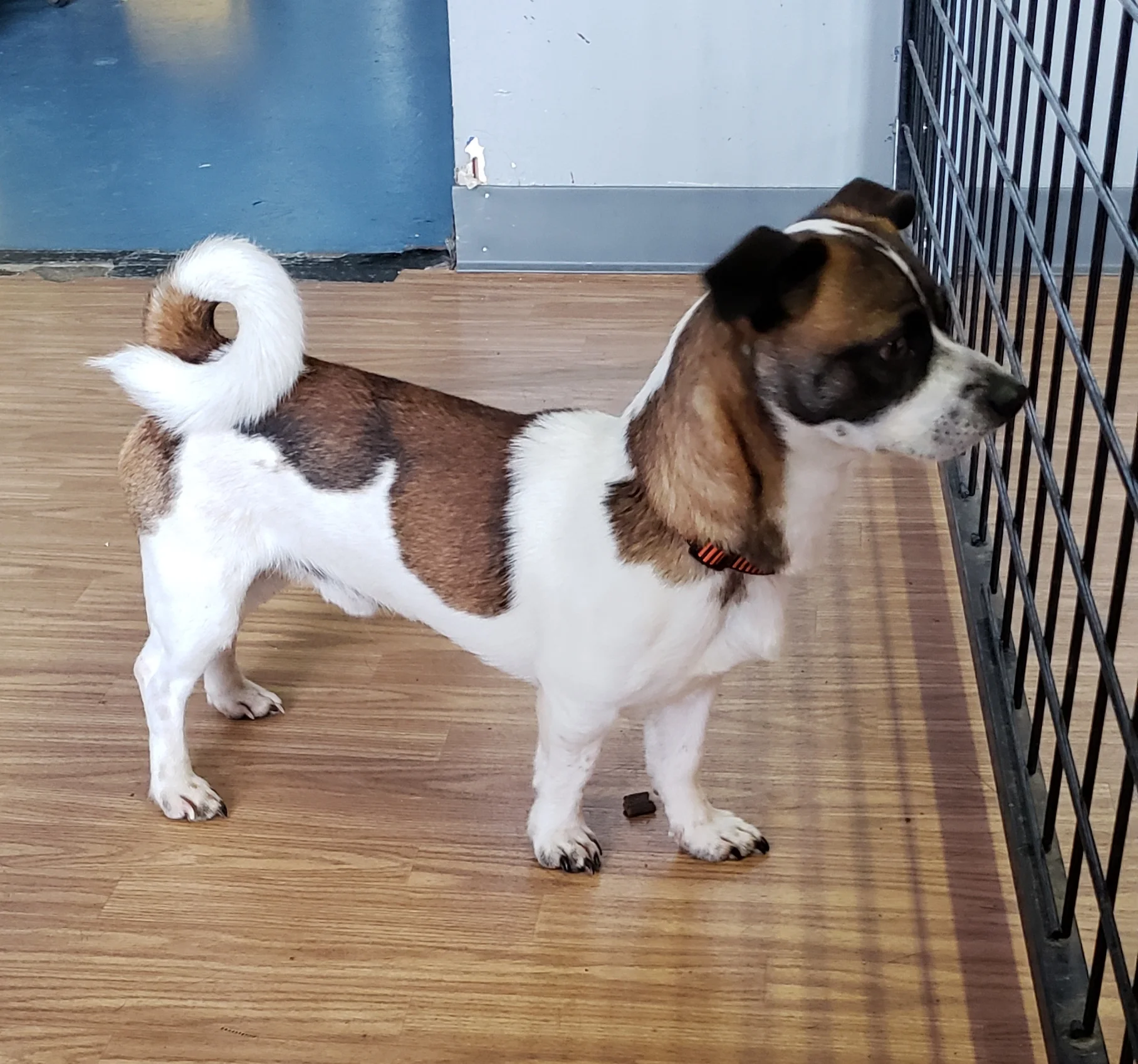 20190412_120159.jpg