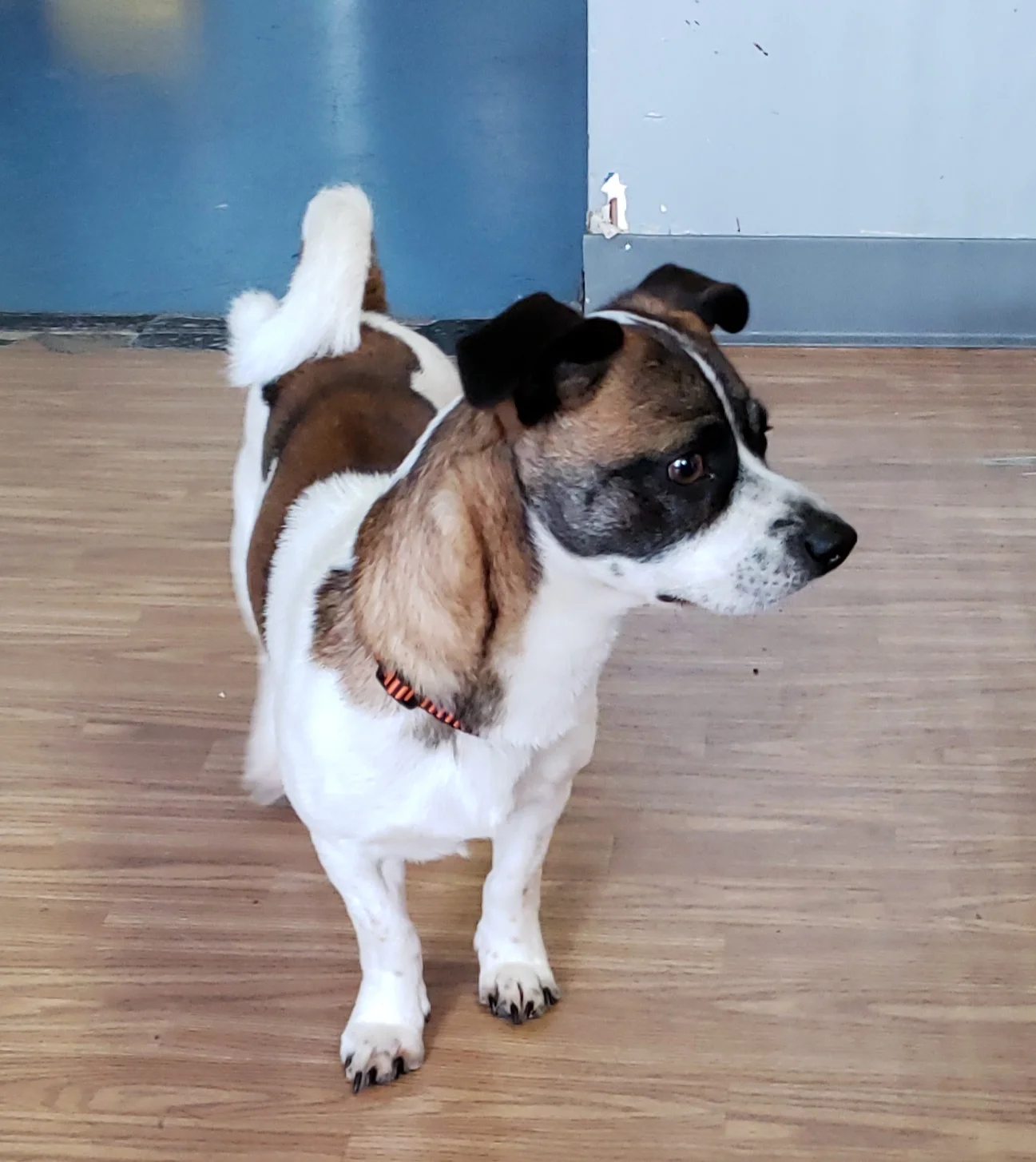 20190412_120128.jpg