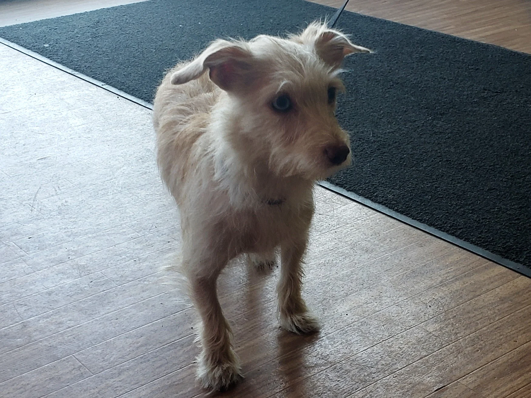 20190511_095454.jpg
