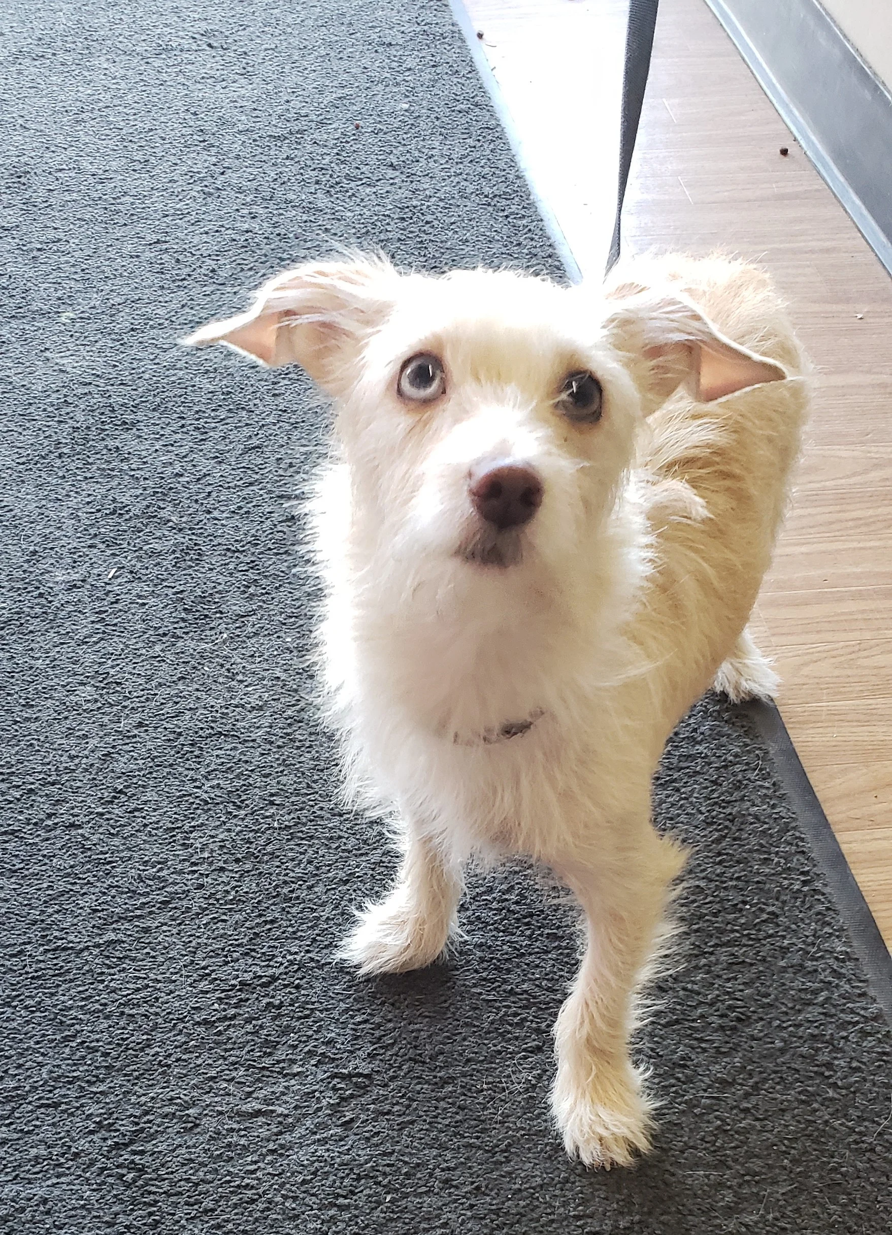 20190511_094649.jpg