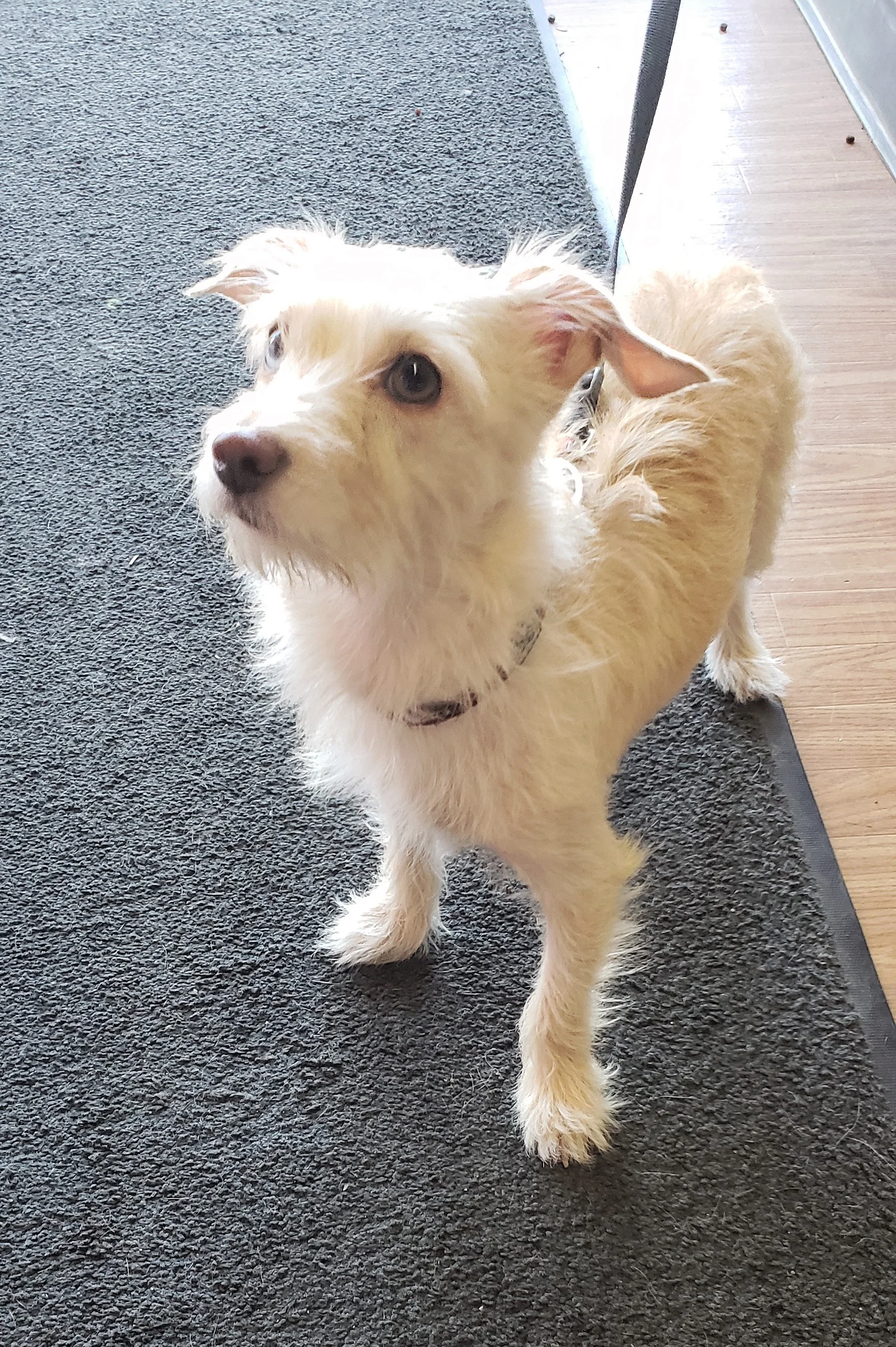 20190511_094647.jpg