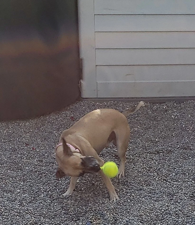20190803_173026_050_saved.jpg