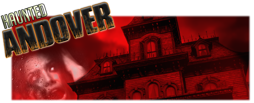banner1.png