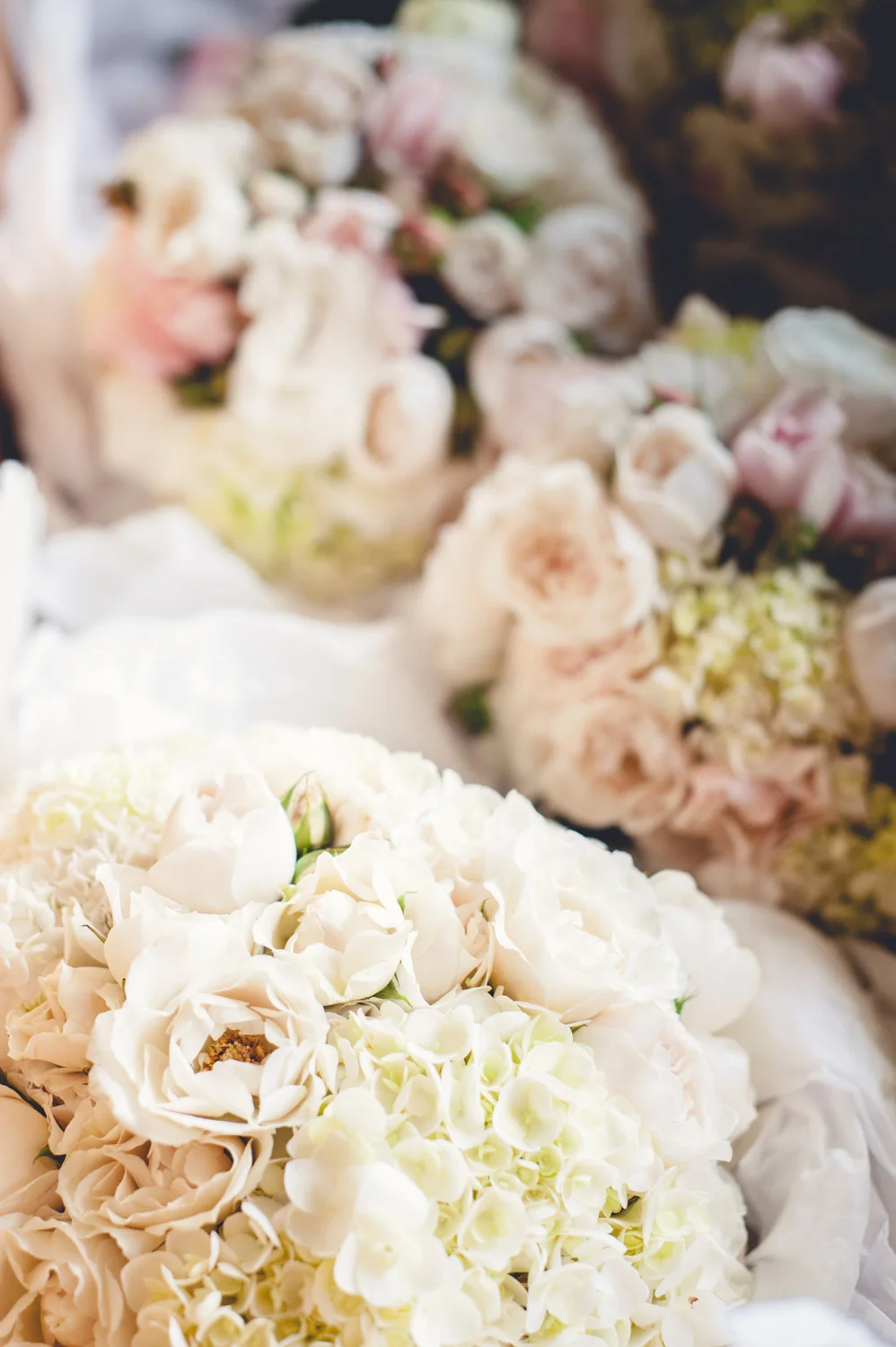 0020-COPYRIGHT-LIFEISNOWPHOTOGRAPHY-DSC_5069.jpg