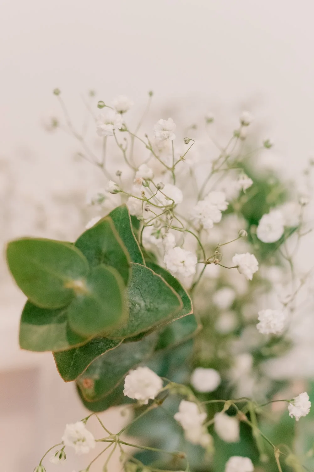 COPYRIGHT LIFE IS NOW-0010-DSC_4257.jpg