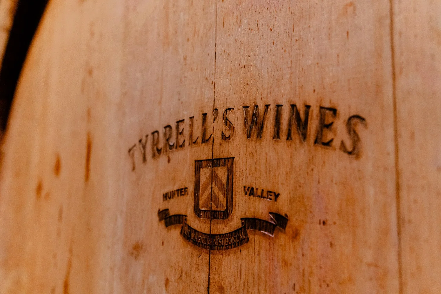 COPYRIGHT LIFE IS NOW-0143-DSC_4421.jpg