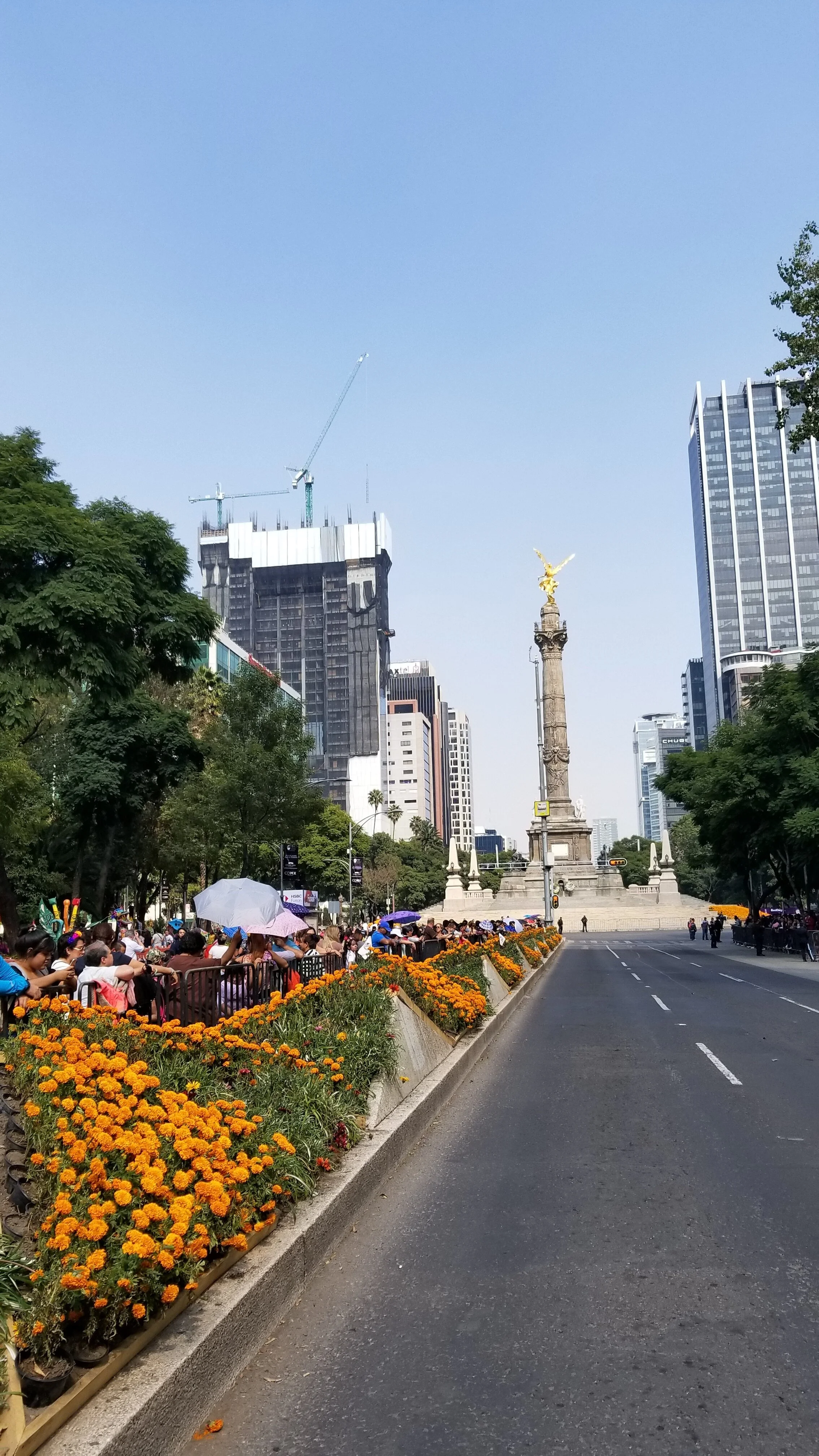 2017-10-28 15.15.26.jpg