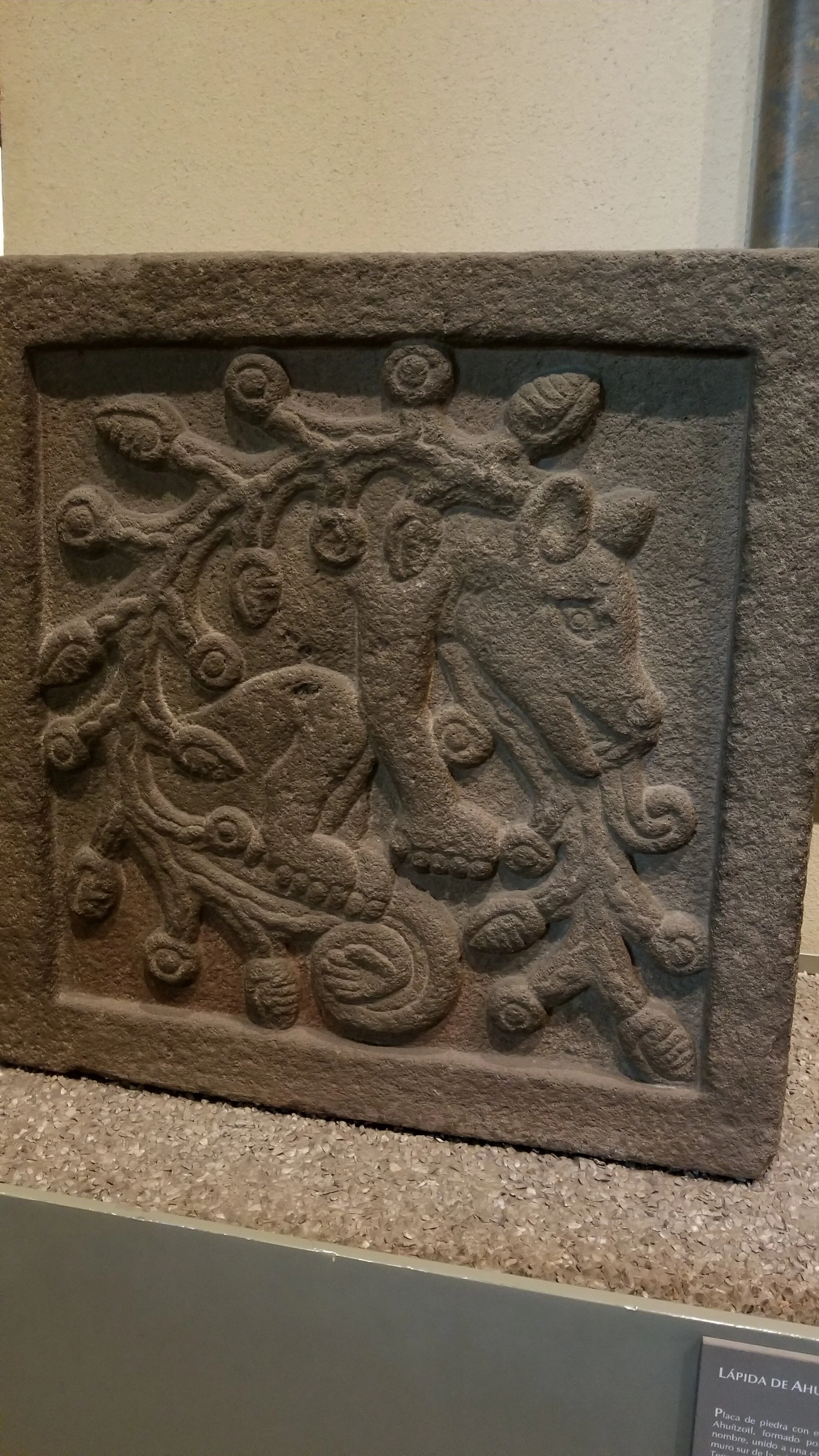 2017-10-31 12.11.19.jpg