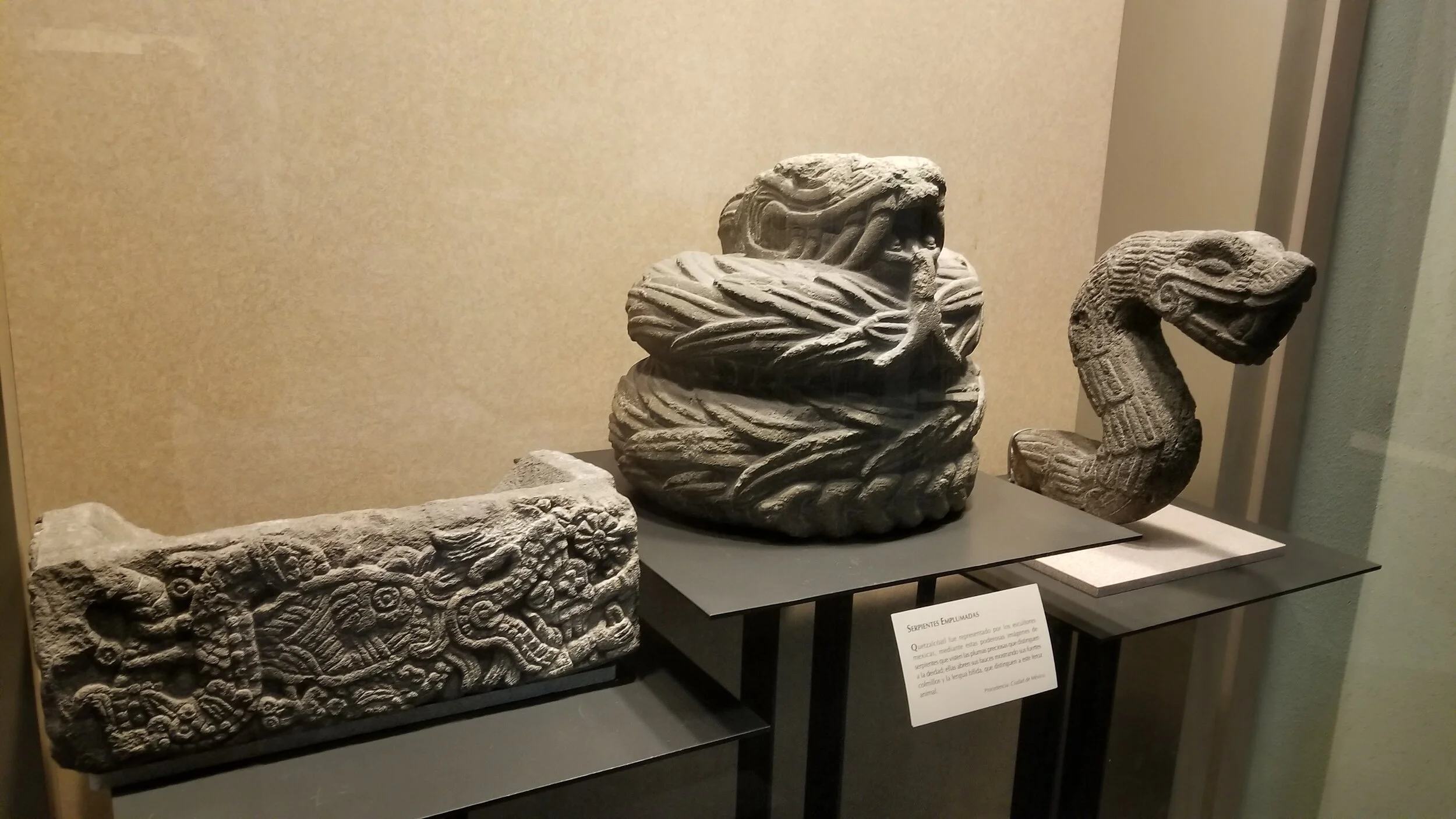 2017-10-31 12.16.14.jpg