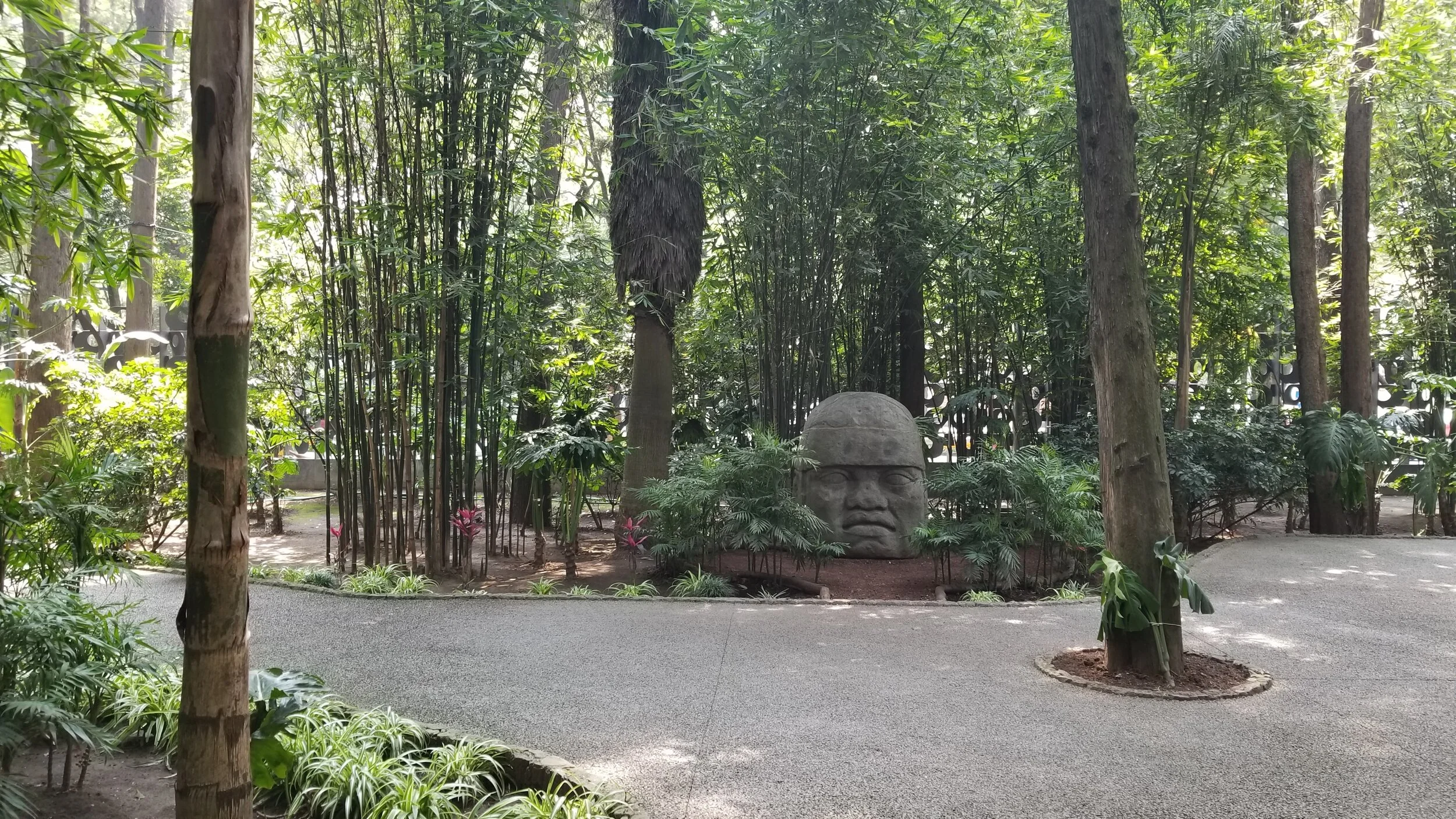 2017-10-31 12.41.11.jpg