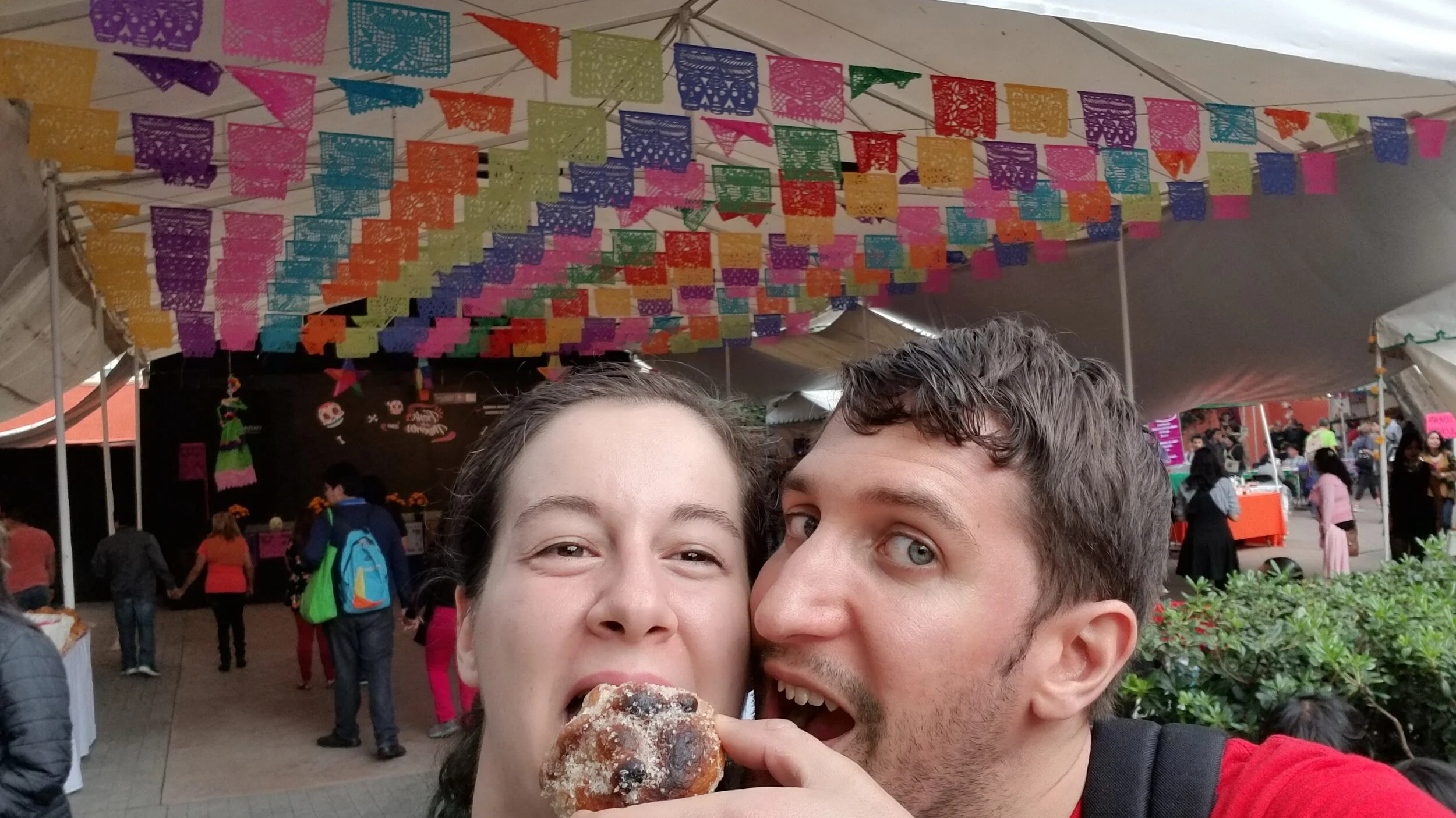 2017-11-01 15.17.07.jpg