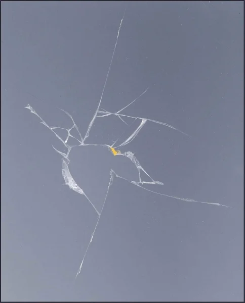 Damaged close-up, 11"x 77"x 4", plexiglas, matboard, music stand, clips, 2010