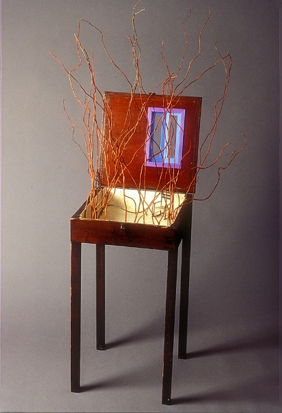 Forest For The Trees, 36"x 14"x 14", wood, paint, wallpaper, metal, 2000 