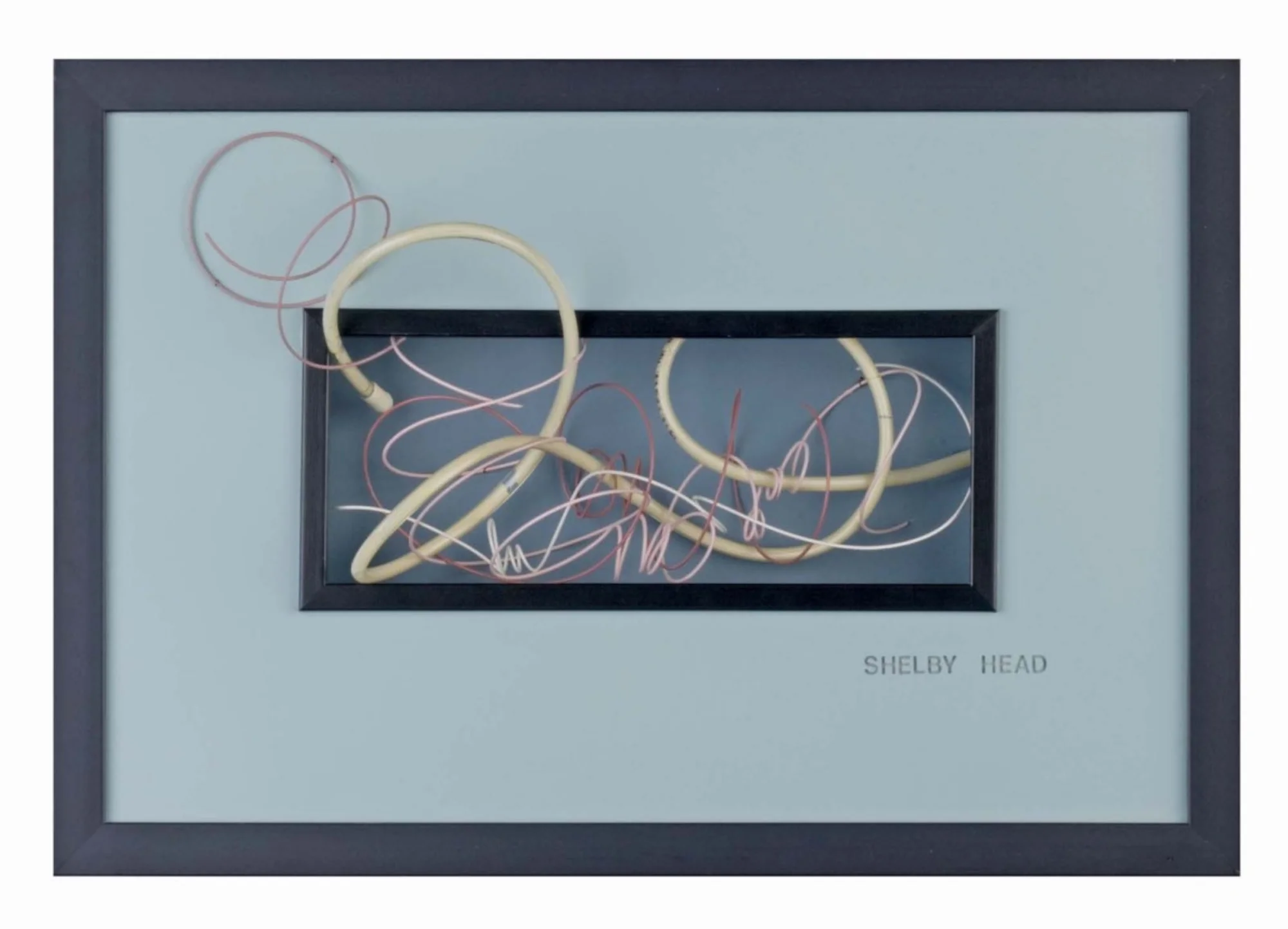 Untitled, 13"x 17"x 7", plexiglas, wire, paint, tubing, 2011