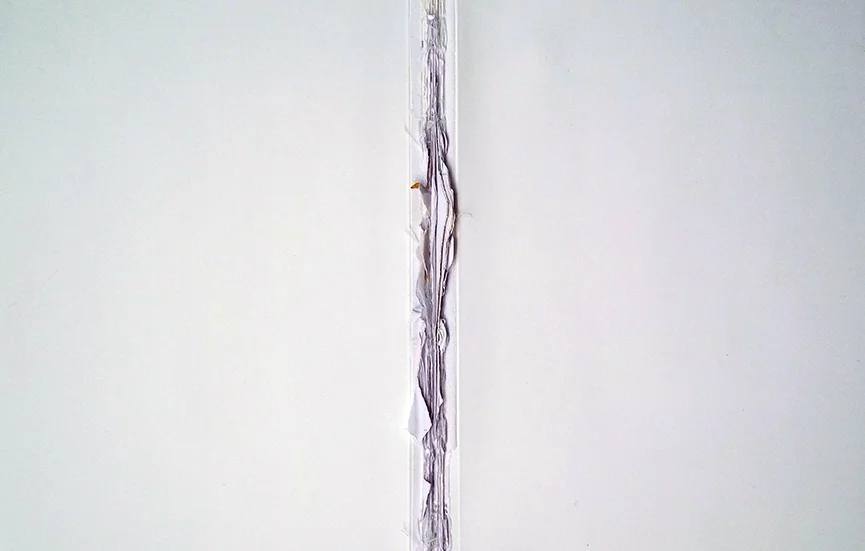 S.Head_20.jpg