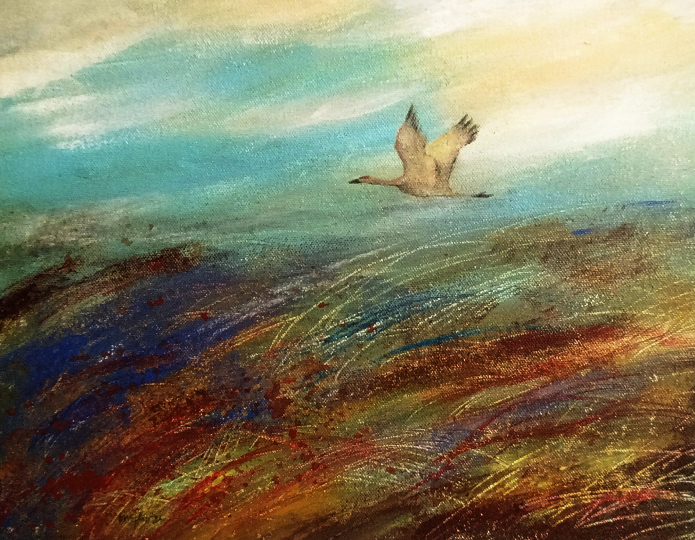 FINDING THE WAY HOME