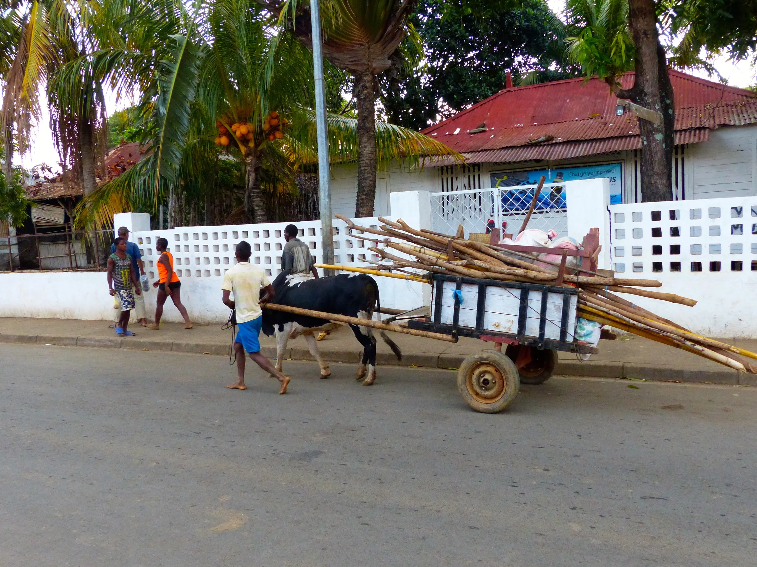 Zebu cart in Hellville