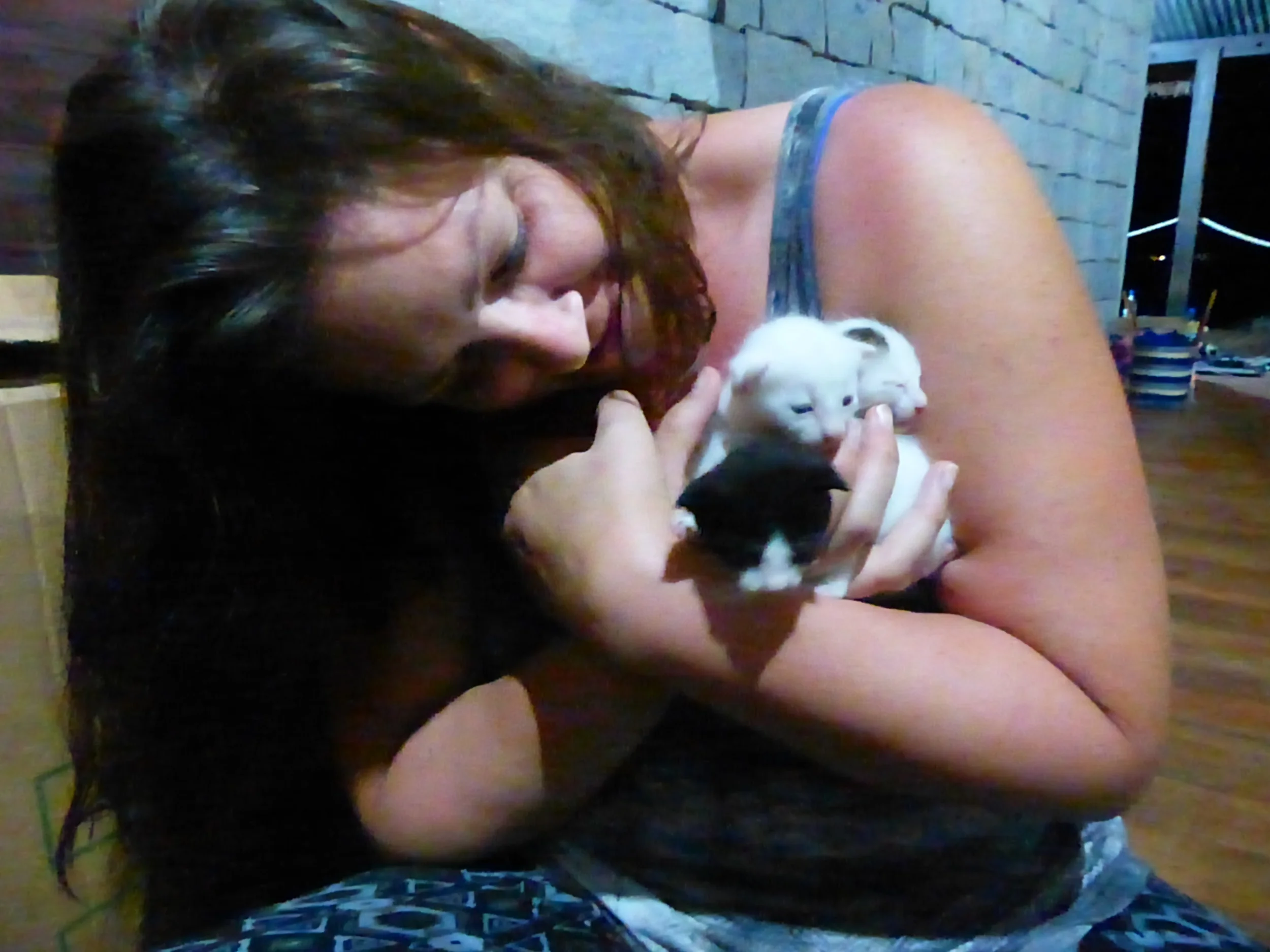 I want to steal a kitten!