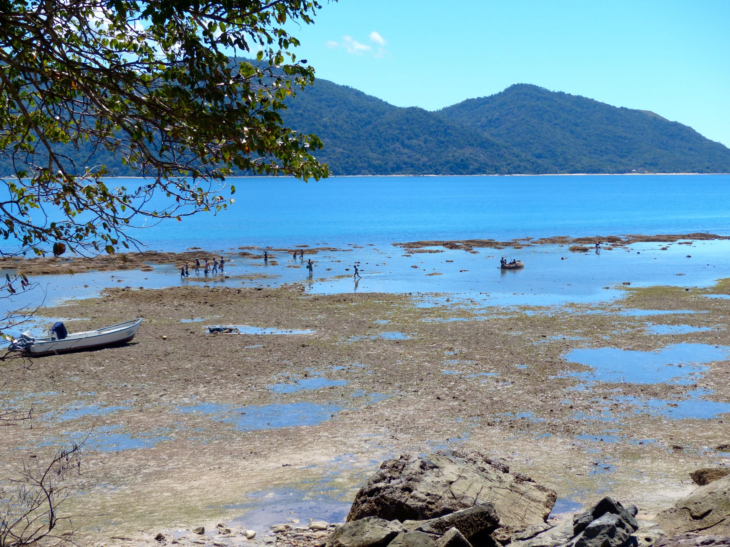 Super low spring tide