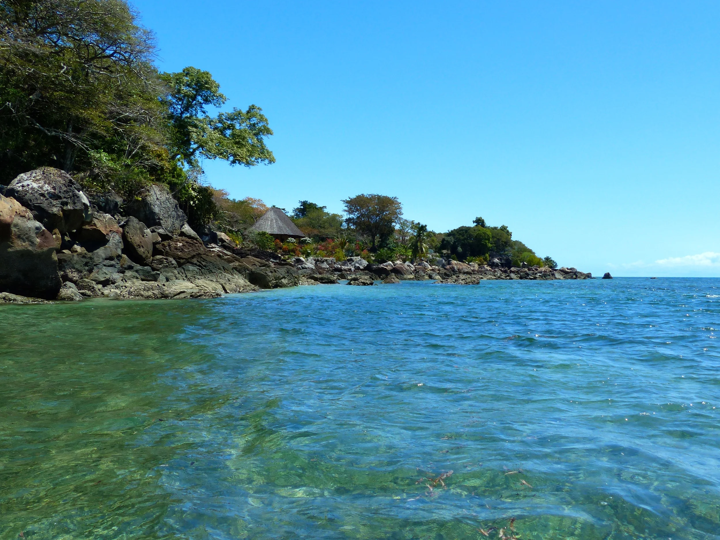 Final view of the perfectly clear water of Turtle Cove