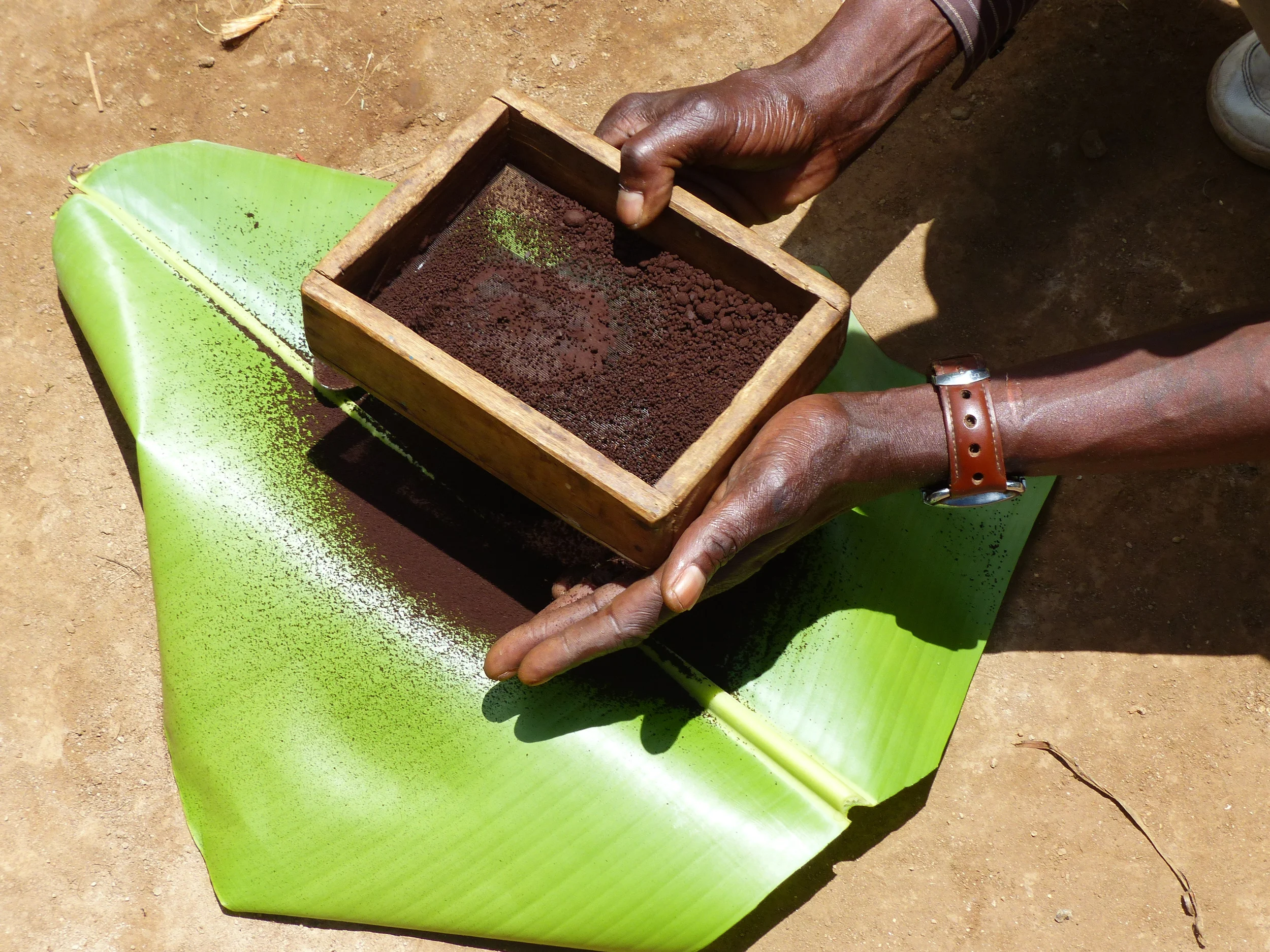 Anticipation builds... sifting...