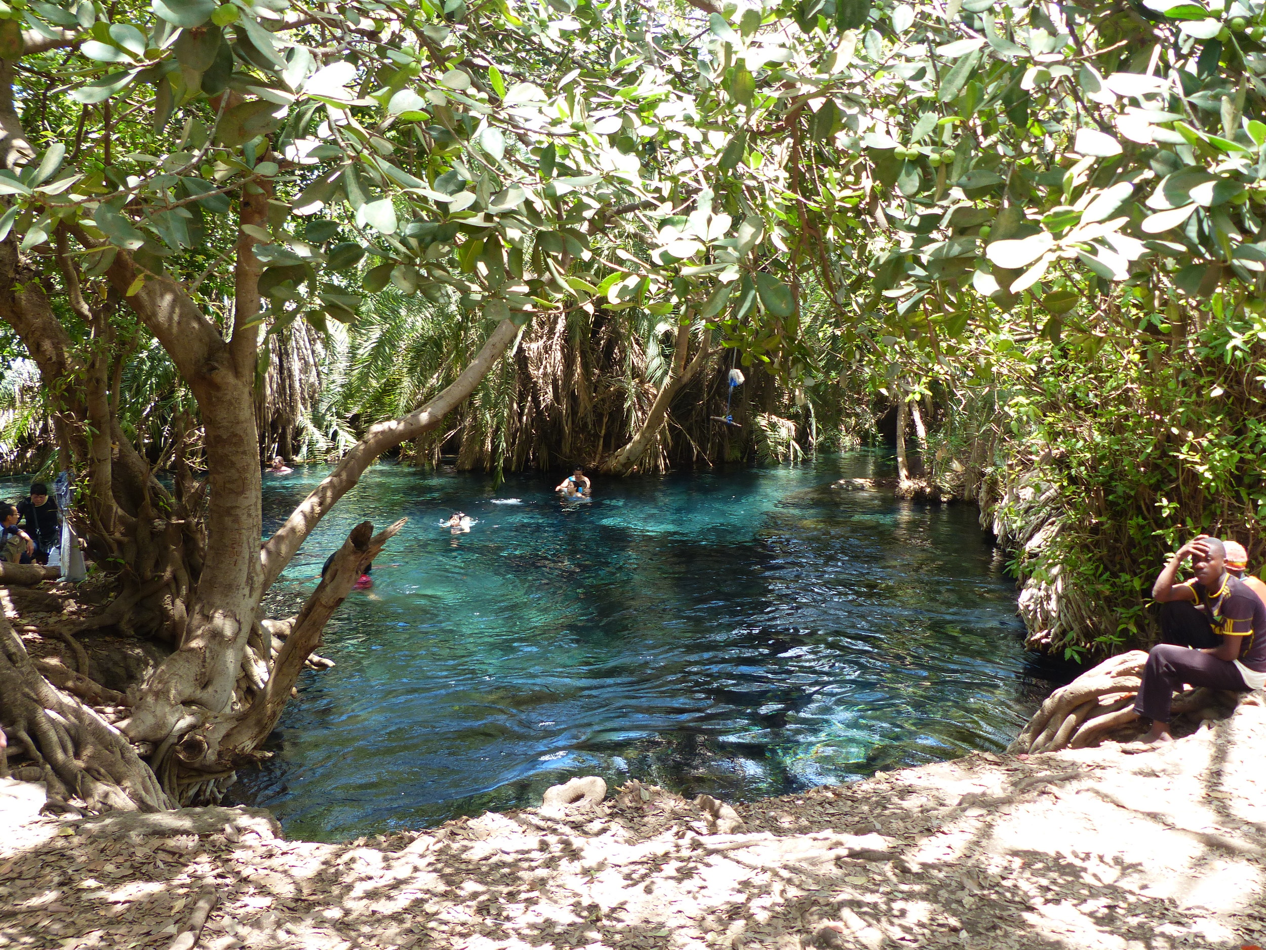 Hot spring oasis