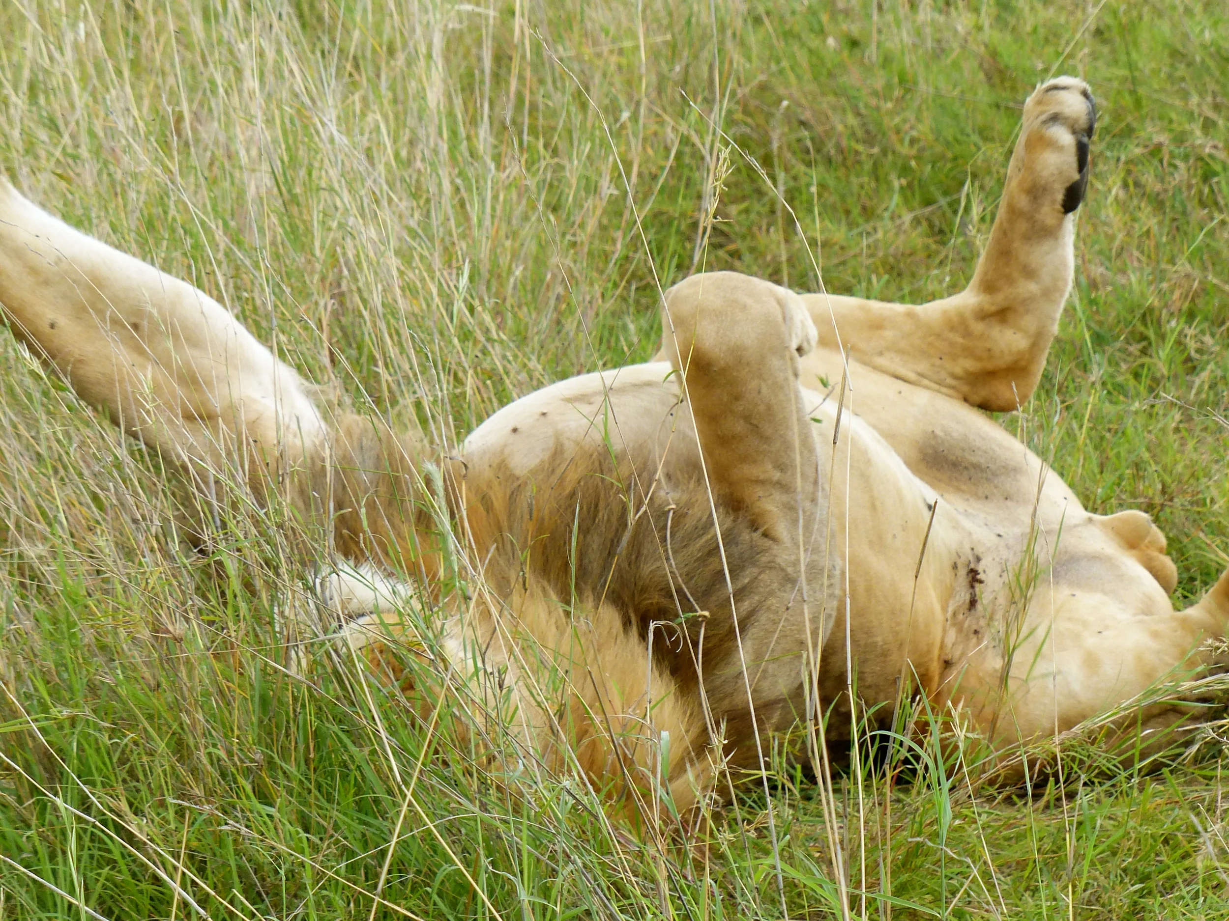 P1050146.JPG