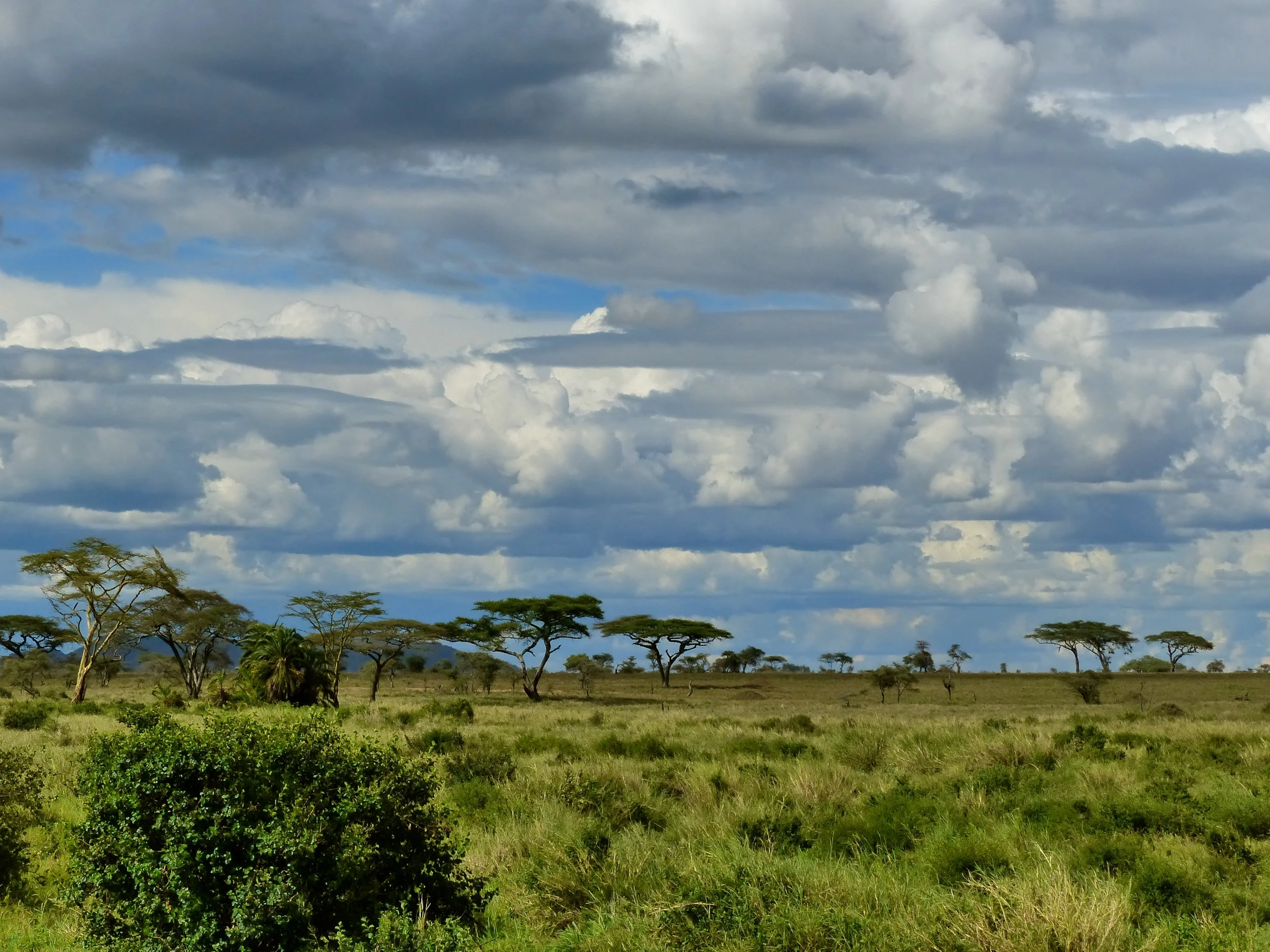 P1050255.JPG