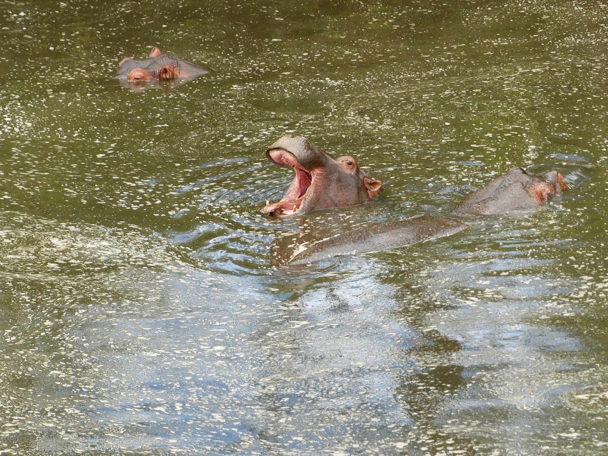 P1050363.JPG