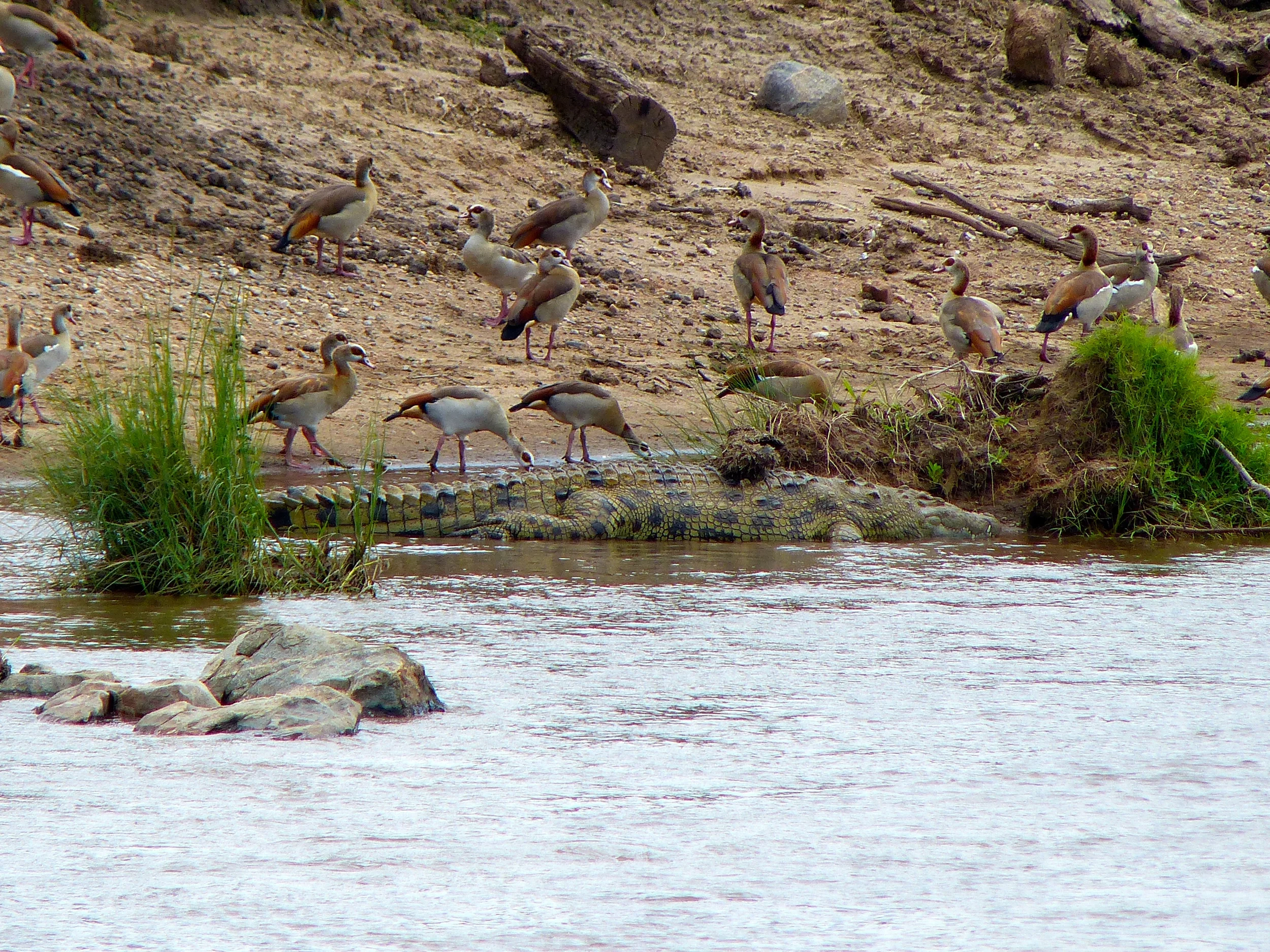 P1050764.JPG