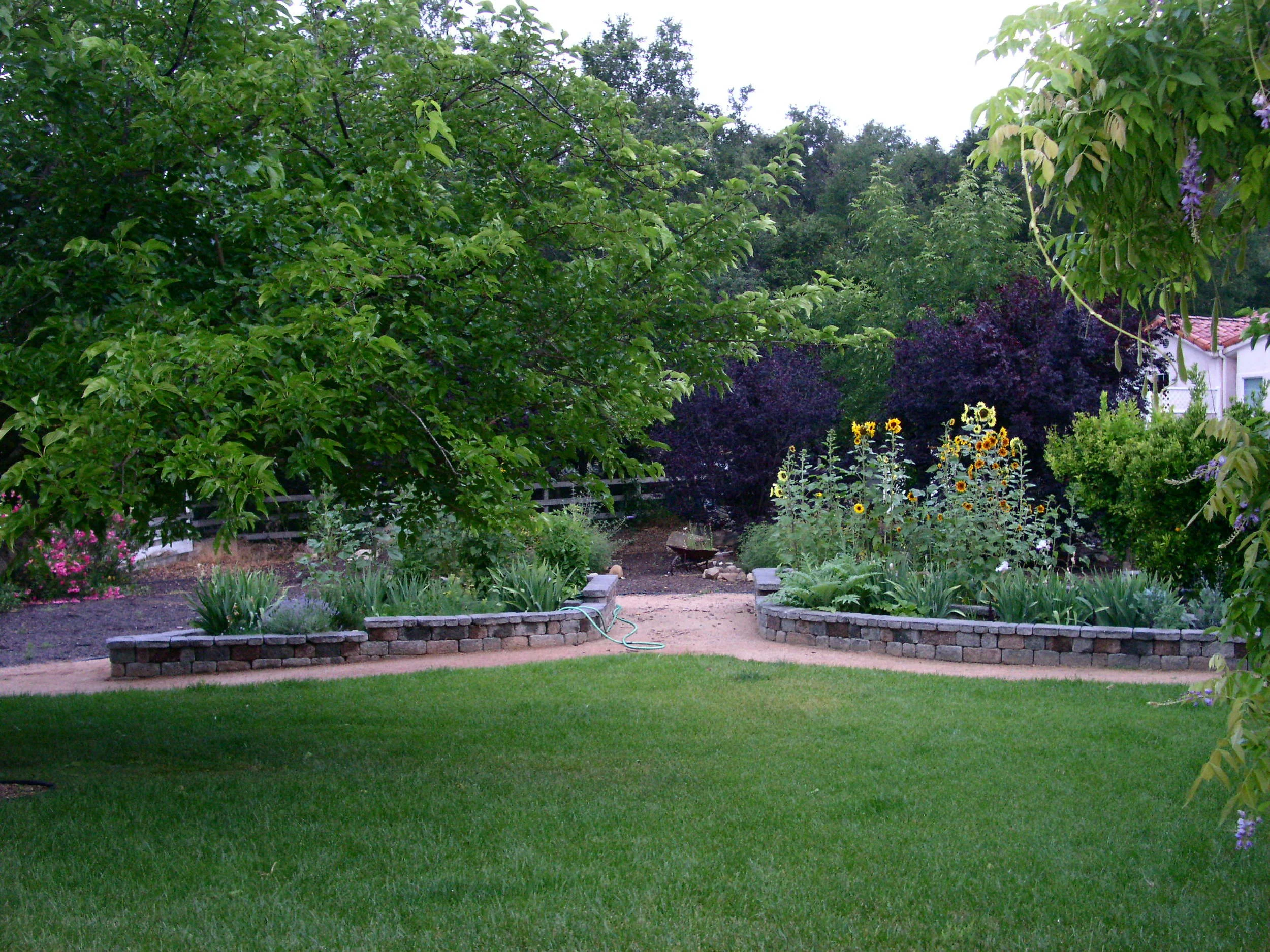 Backyard Garden